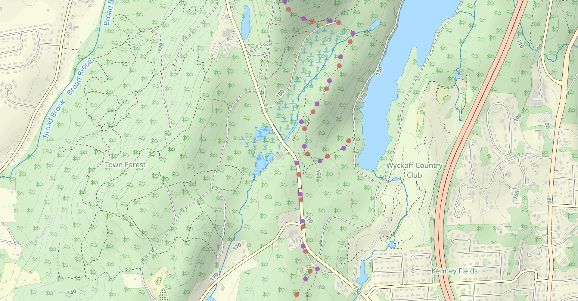 Mount Tom via Metacomet-Monadnock Trail (Short Option)