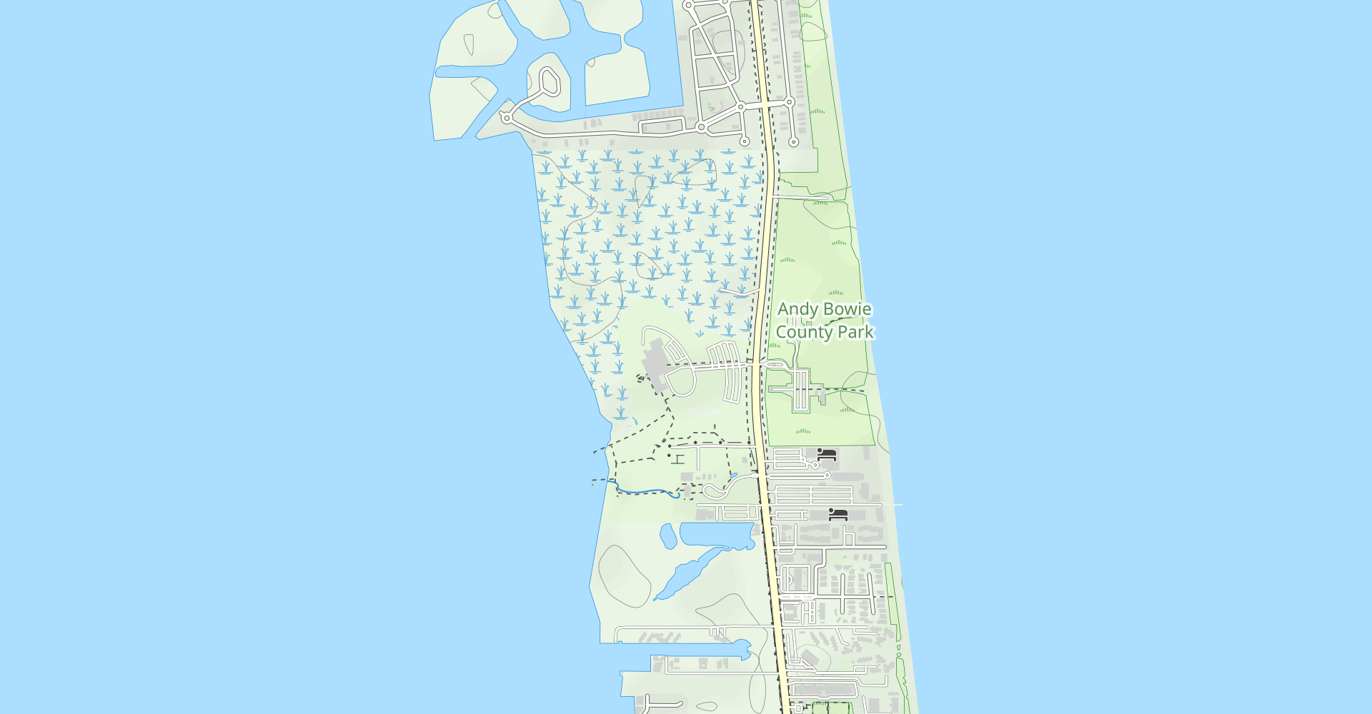 Hike Laguna Madre Nature Trail