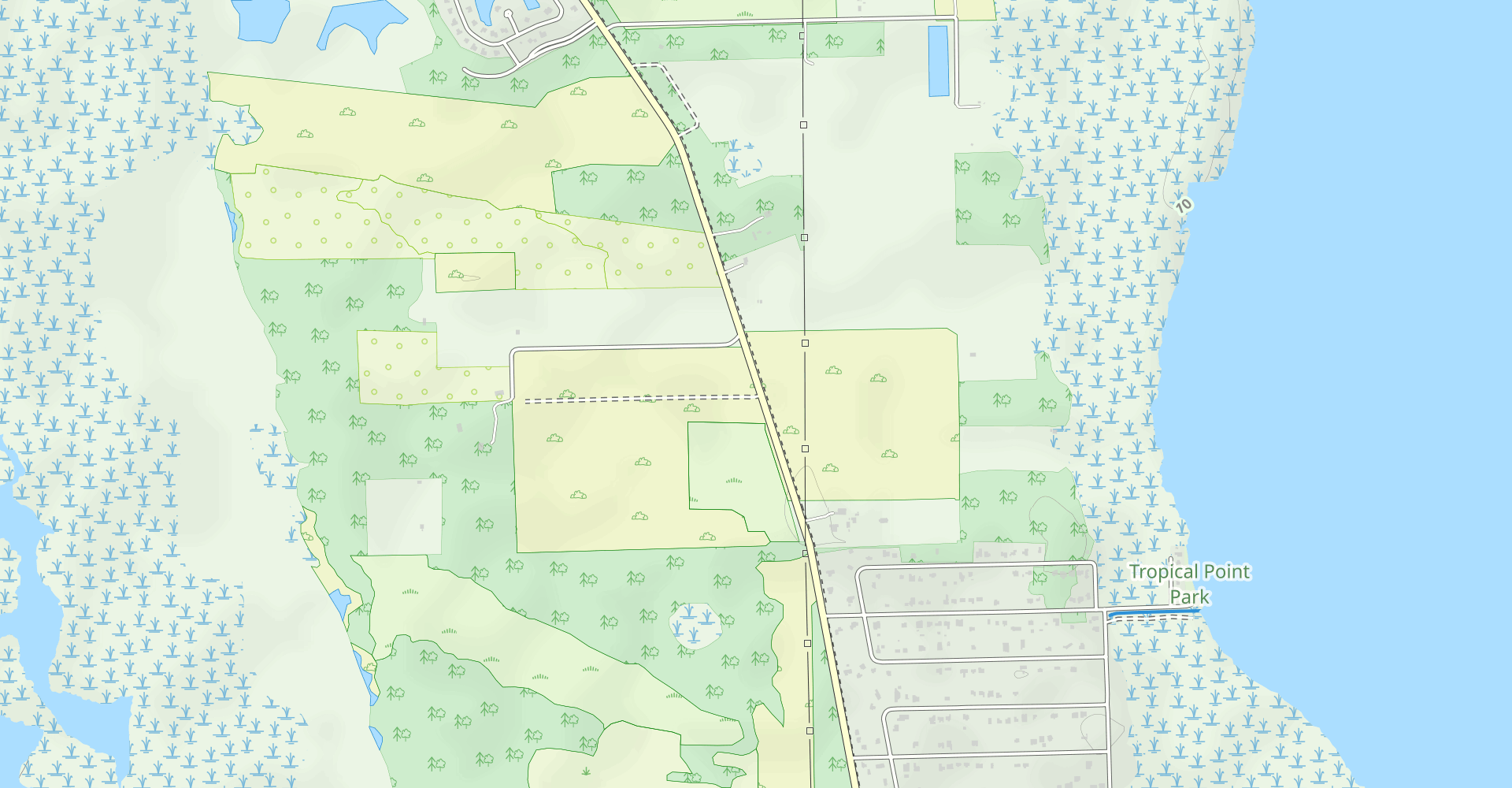 Pine Island Flatwoods Preserve