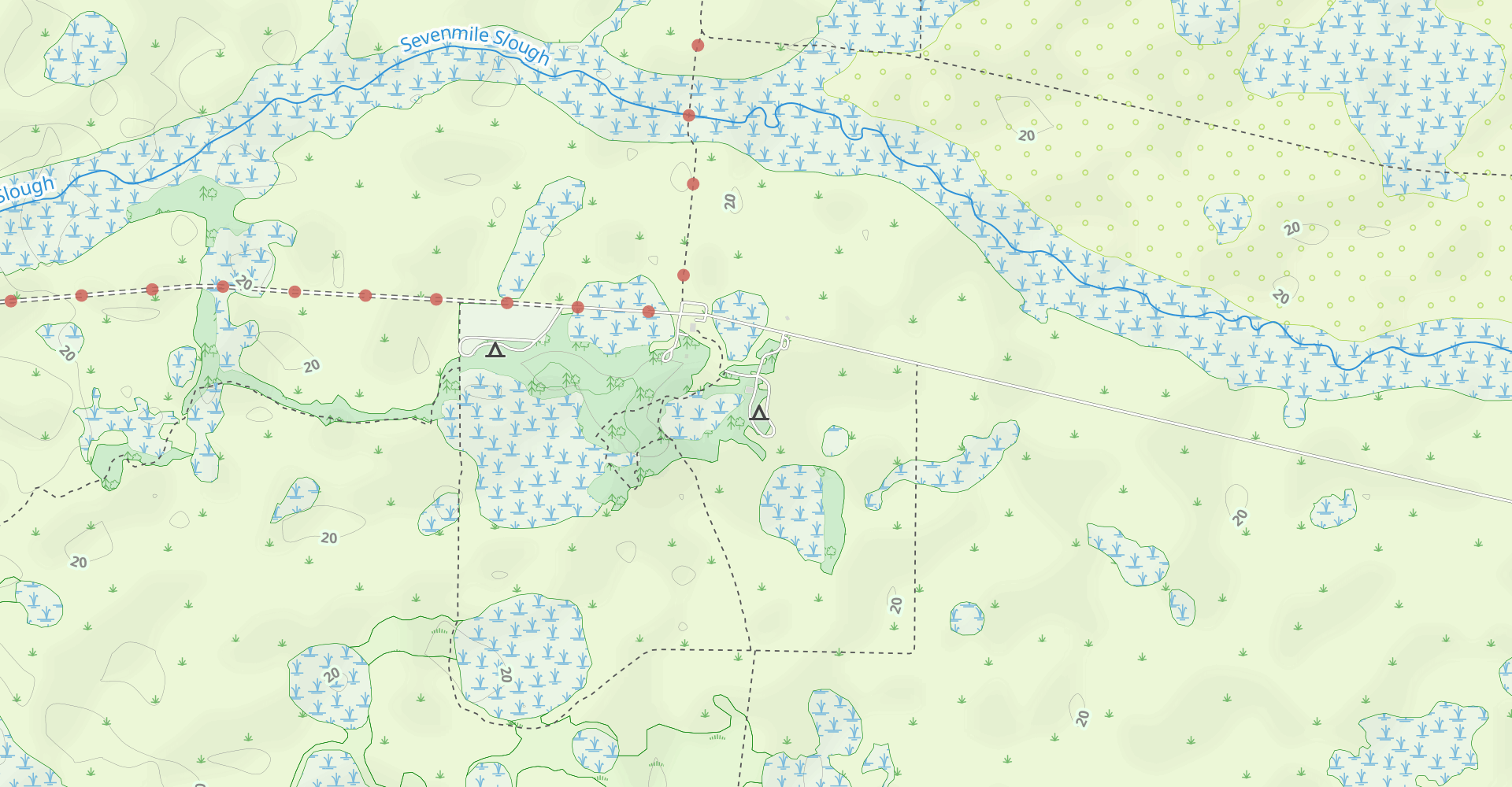 Kissimmee Prairie Preserve Hammock Trail