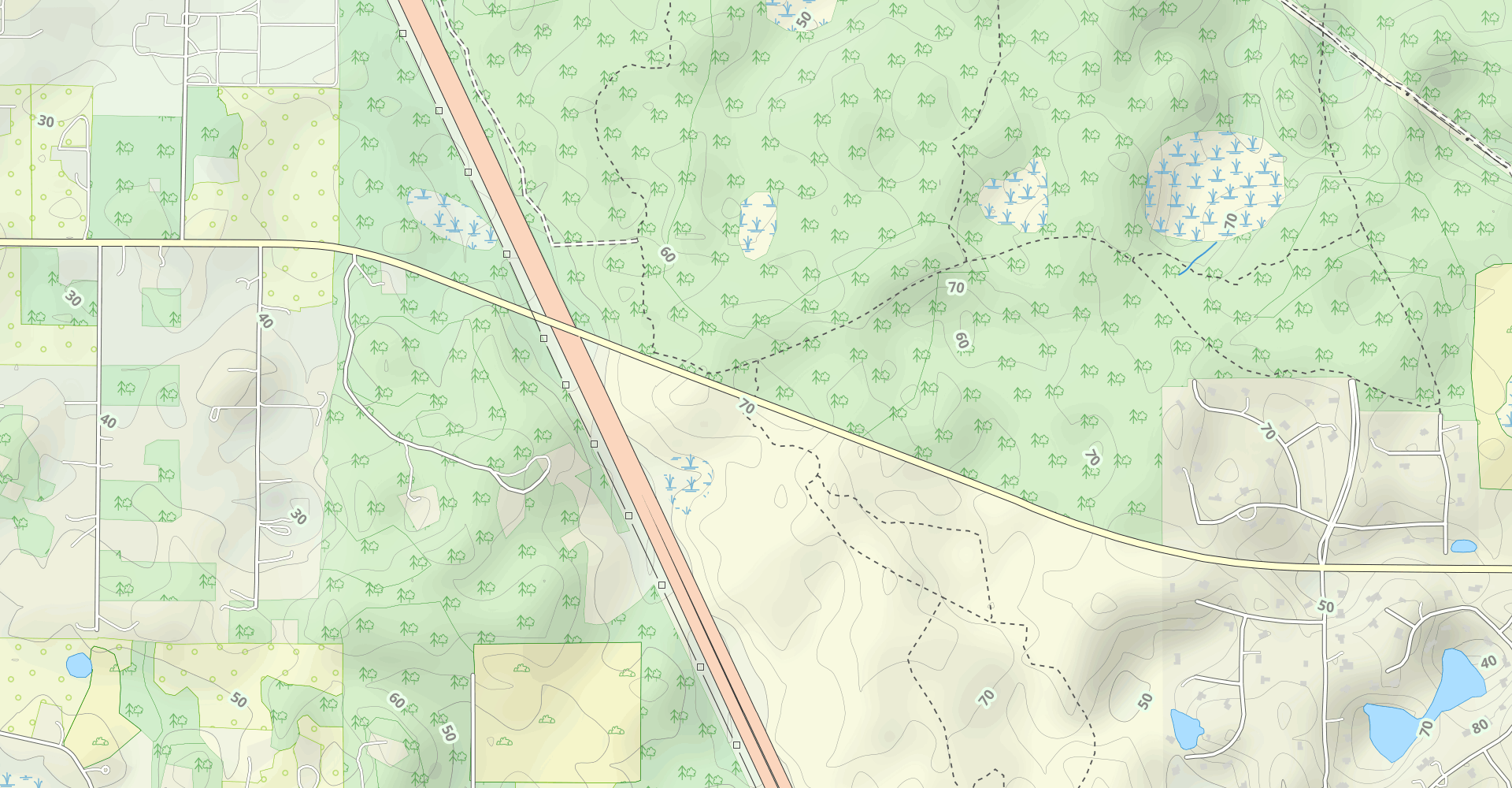 San Felasco Hammock Cut Off (Green Blazes)
