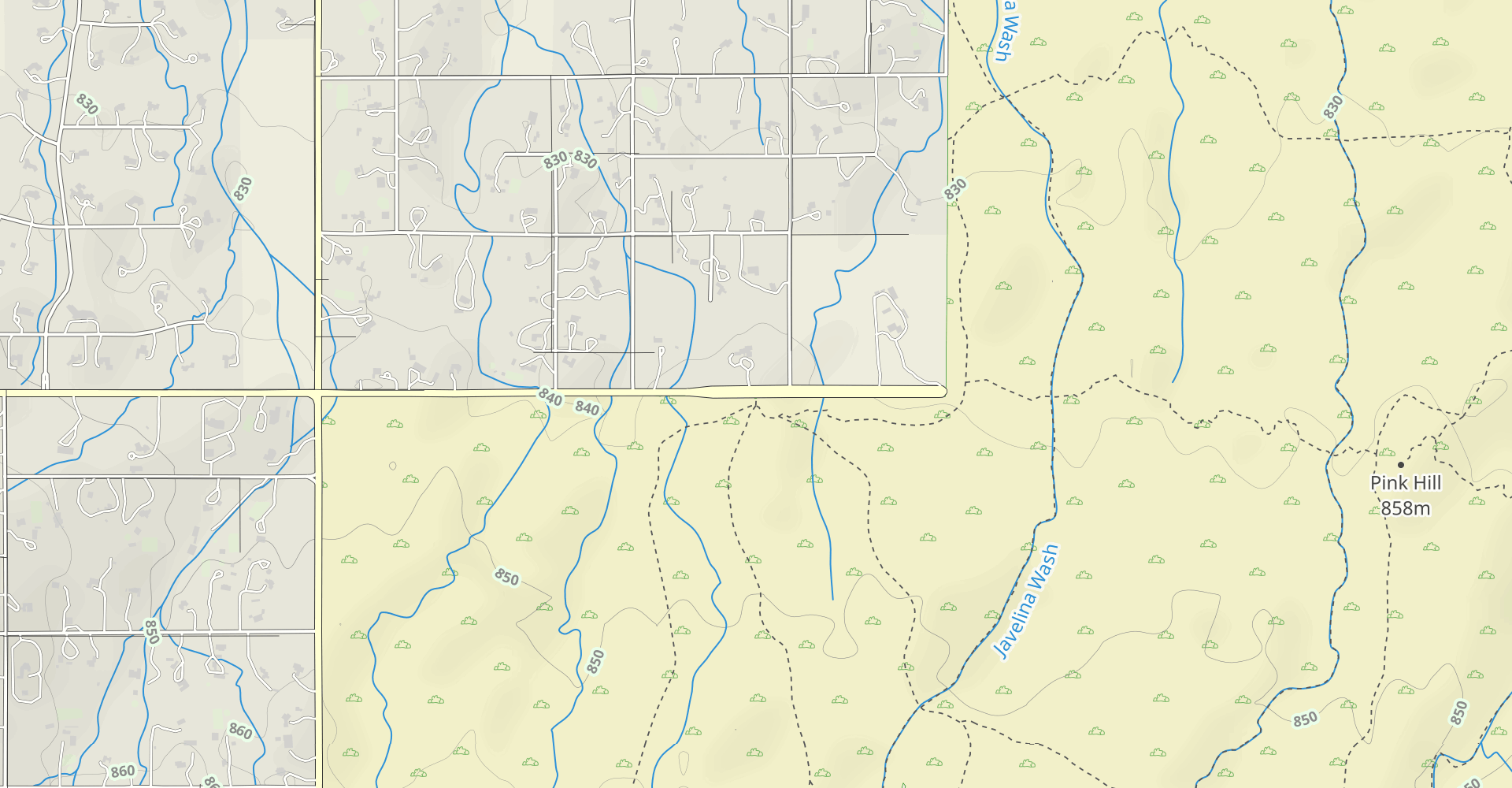 Pink Hill, Loma Verde, Cholla Trail, and Cactus Forest Loop