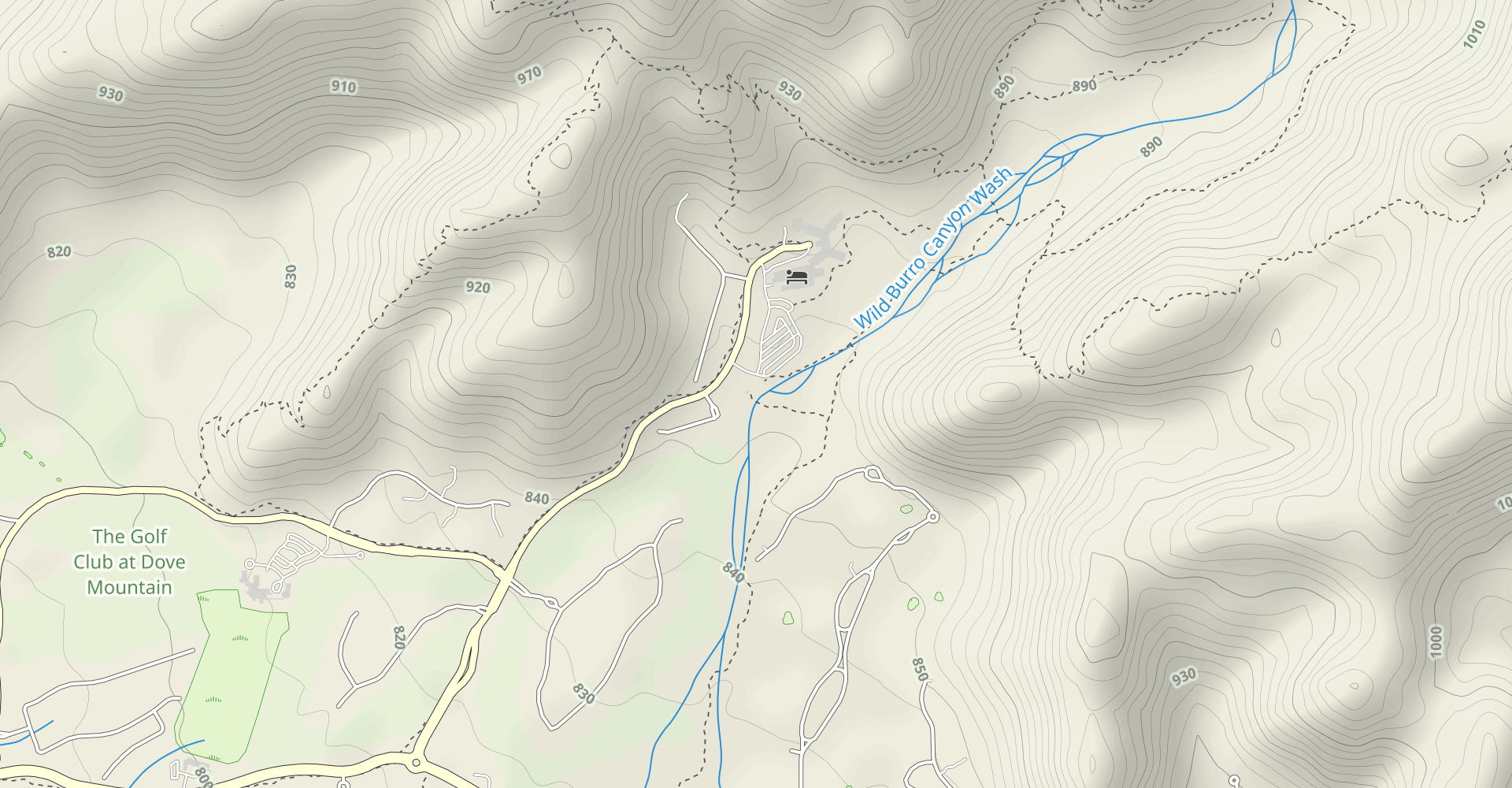 Wild Burro Spur Trail Loop