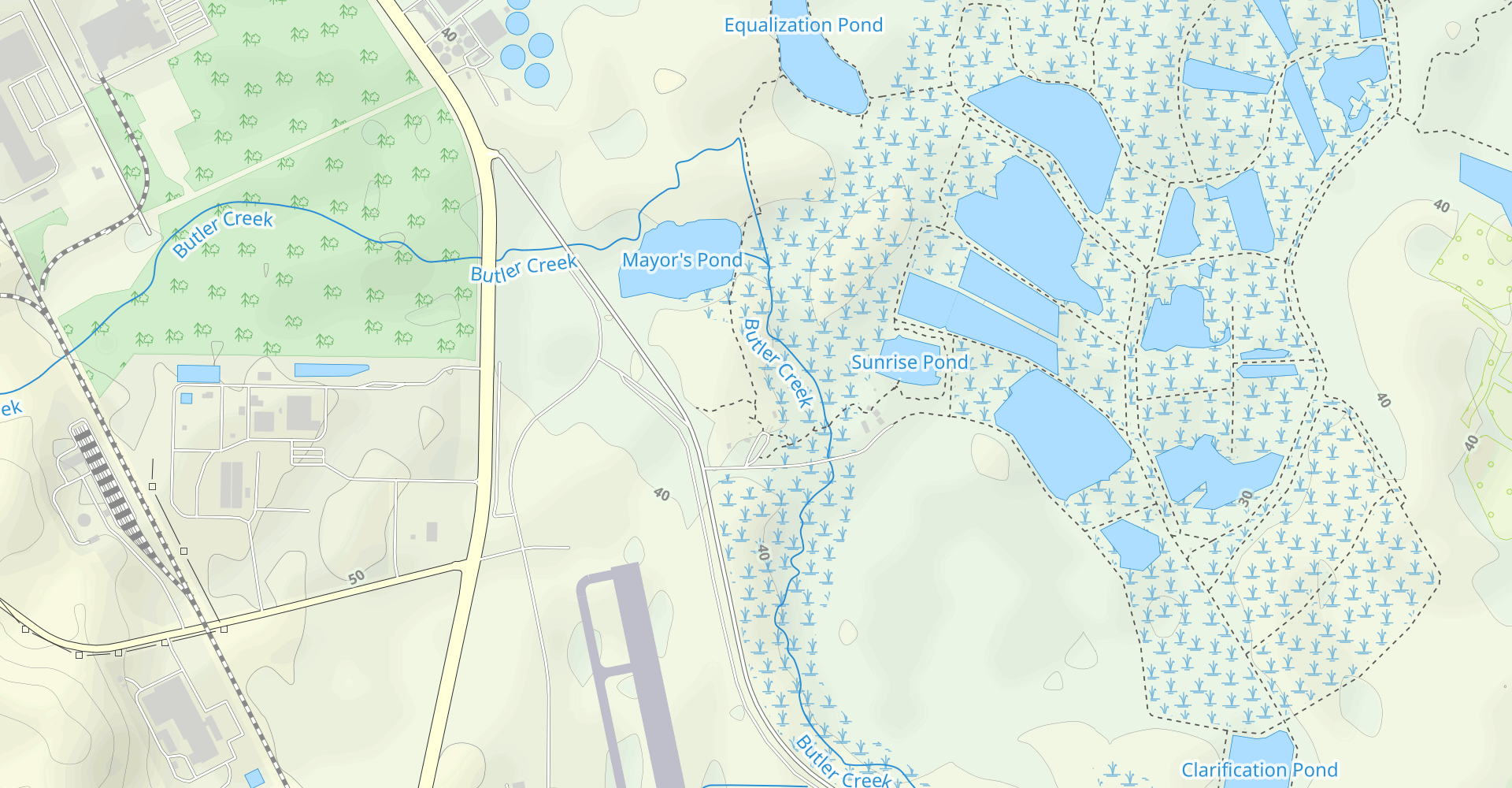 Beaver Dam and Cattail Loop