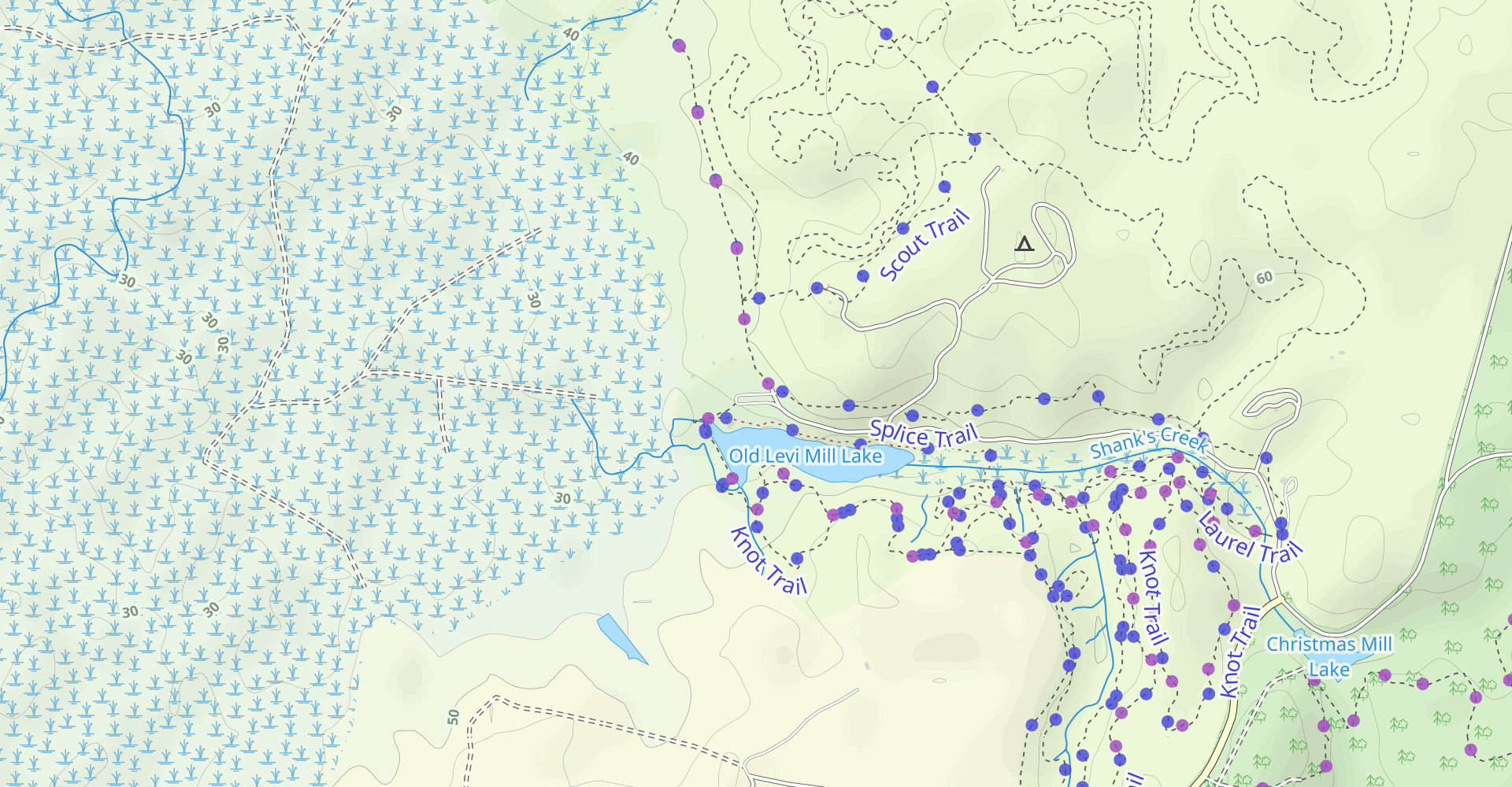 Palmetto Trail: Poinsett State Park to Campbell Pond Road