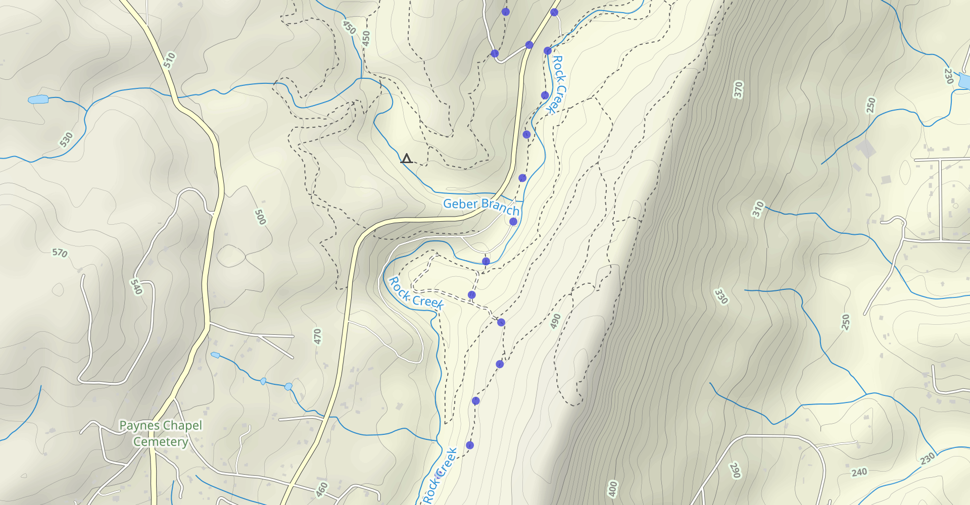 C, Ovenbird, Bluff and A Trail Loop