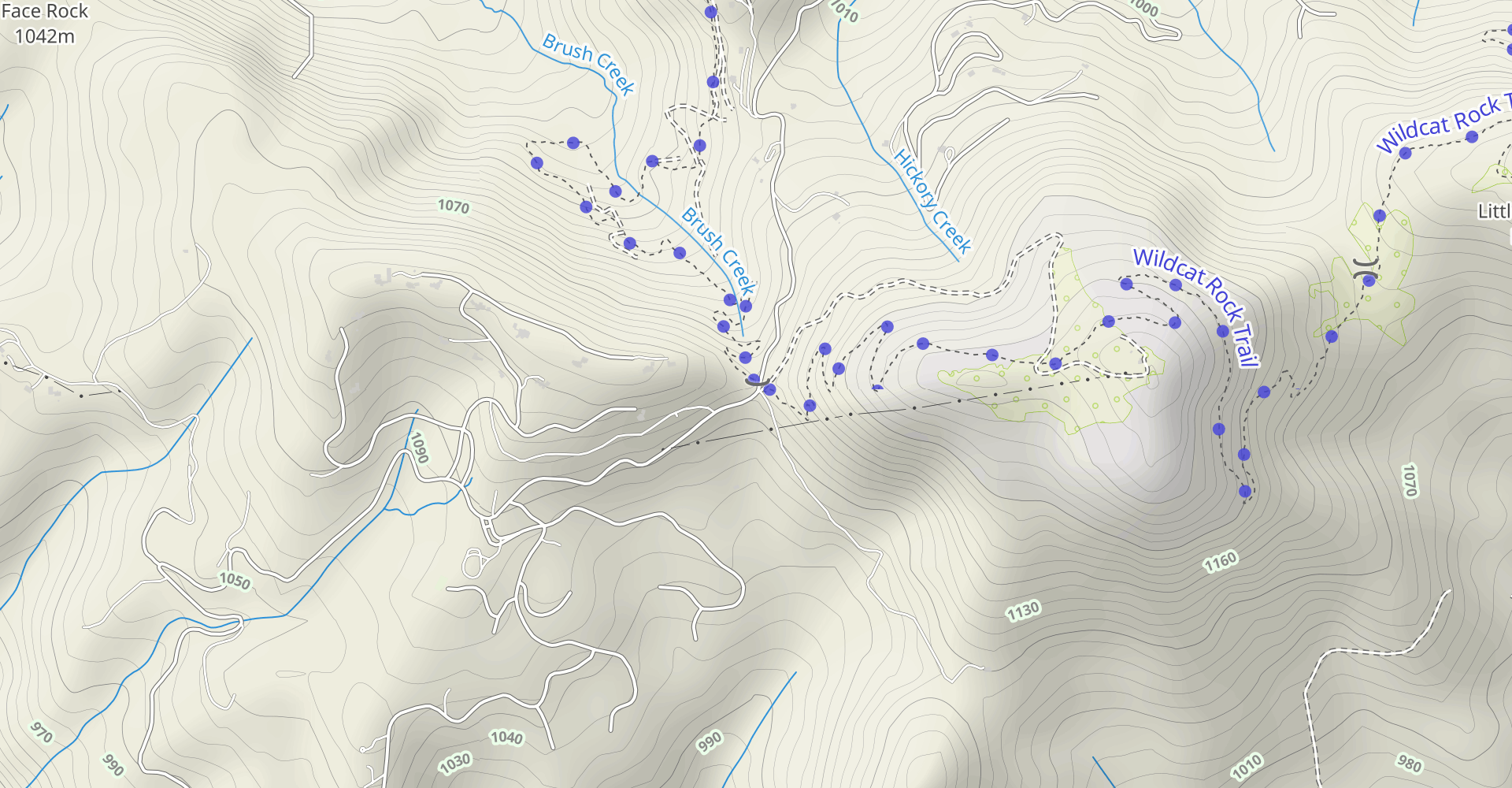 Bearwallow Mountain Trail
