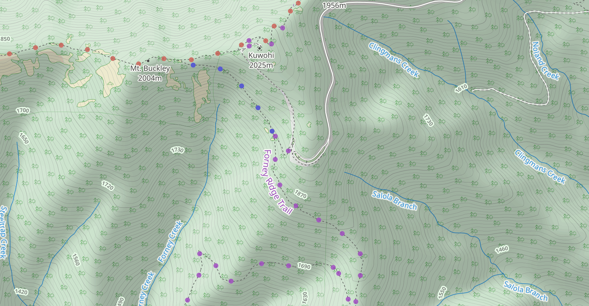 Springhouse Branch Trail via Forney Ridge Trail