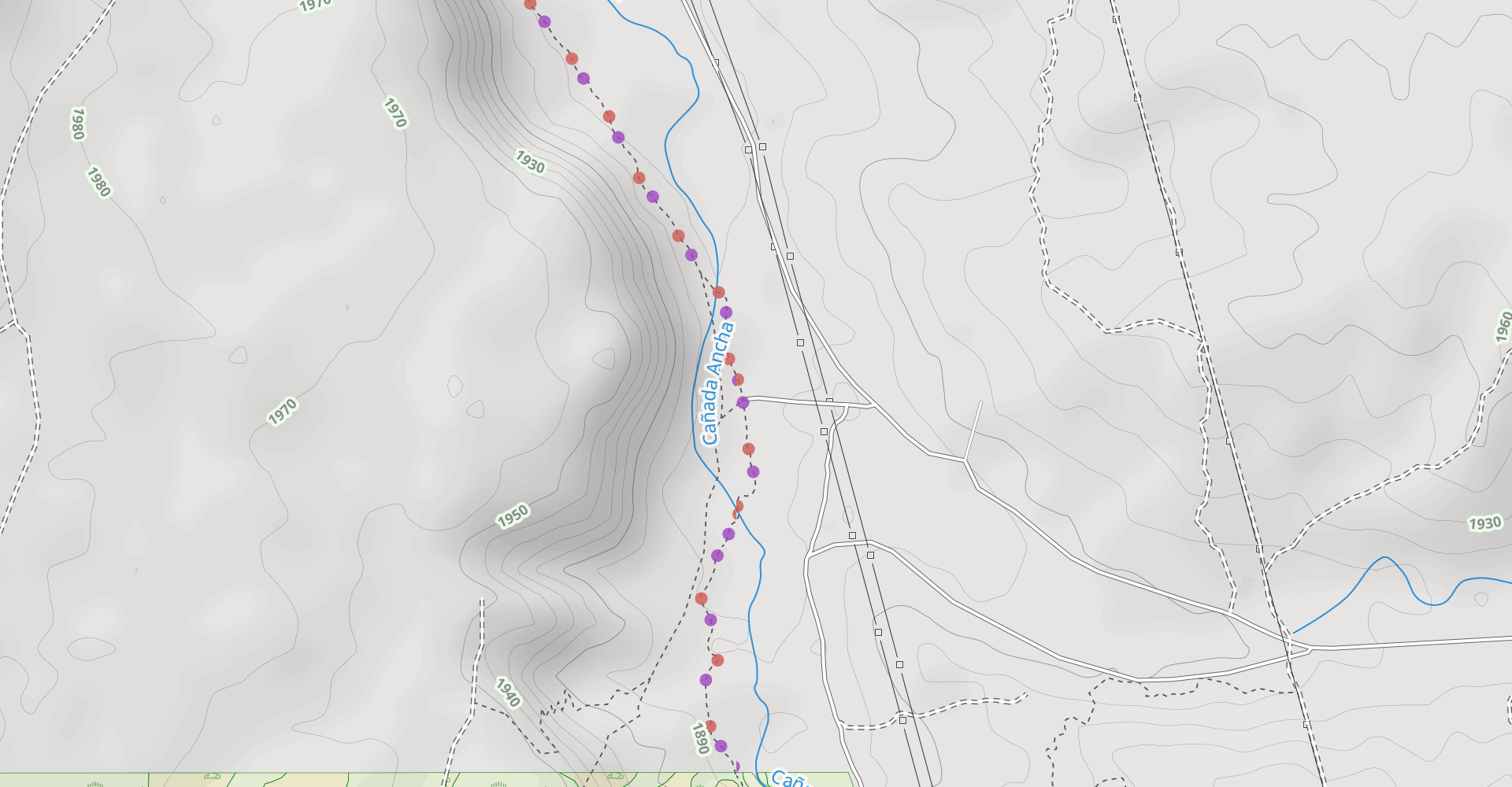Dead Dog Trail