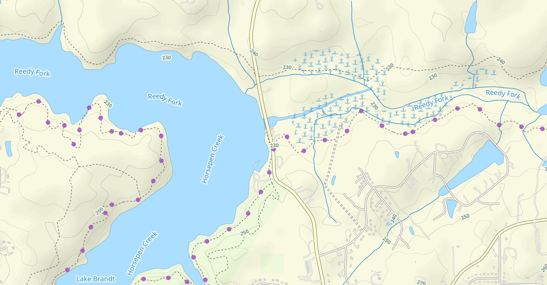 Laurel Bluff and Reedy Fork Loop