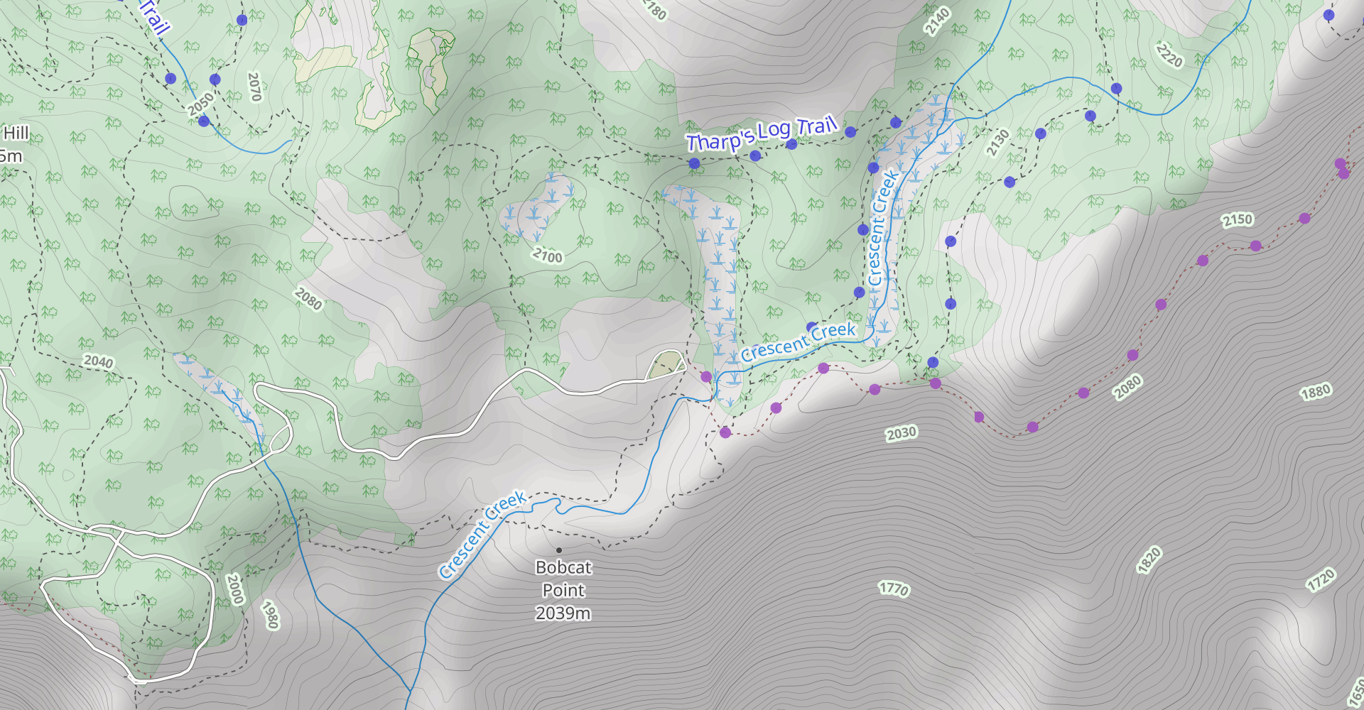 Tharp's Log and Huckleberry Trail Loop