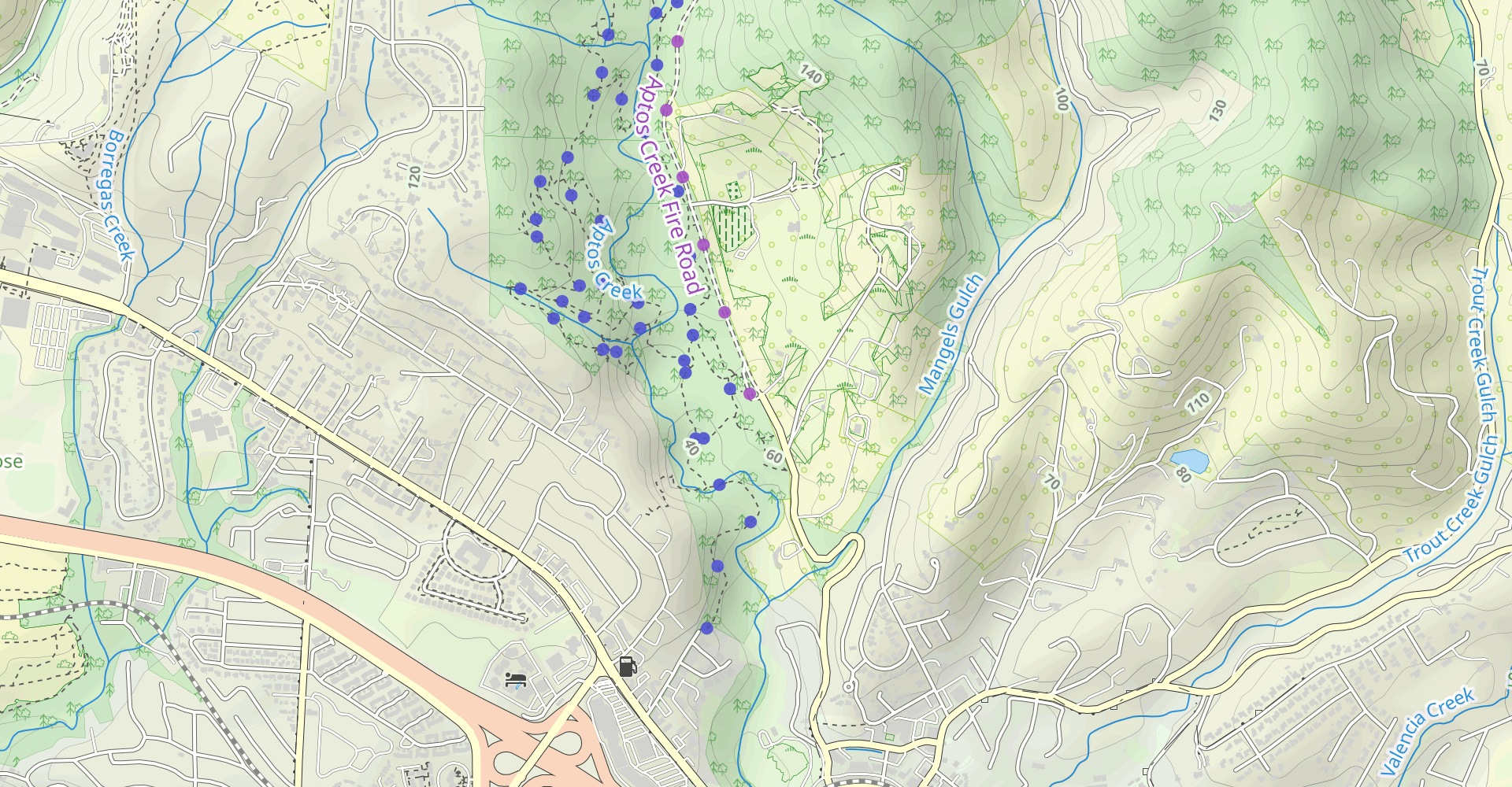 Aptos Rancho Trail, Loma Prieta Grade and Bridge Creek Loop