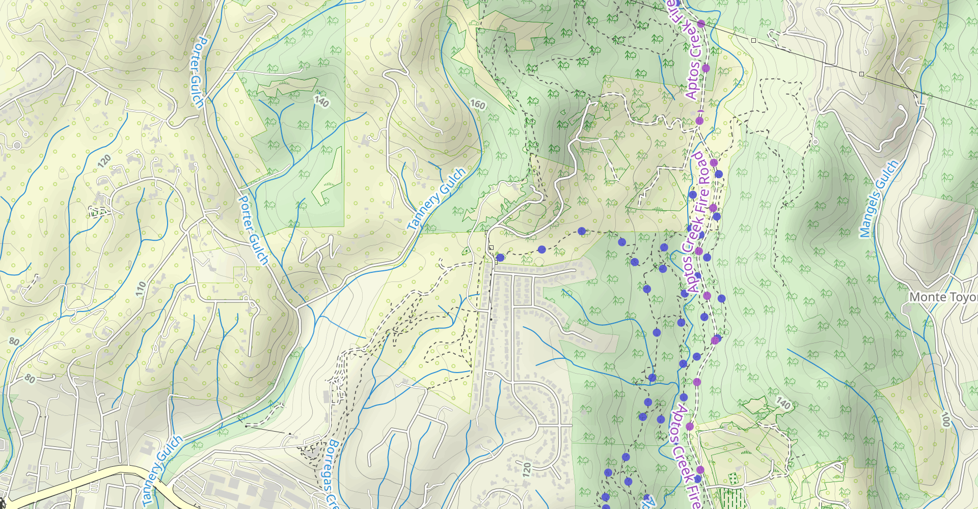 Terrace Trail to Aptos Ranch Trail