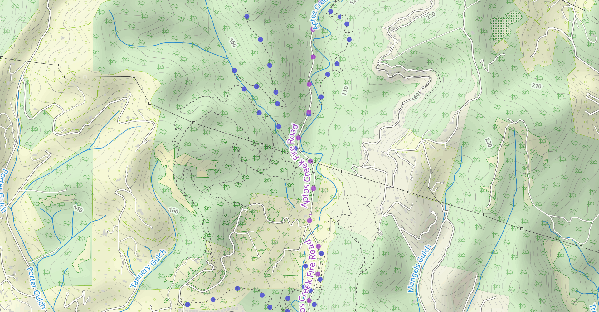 Loma Prieta Grade and Big Stump Gap to Sand Point Overlook and West Ridge Trail