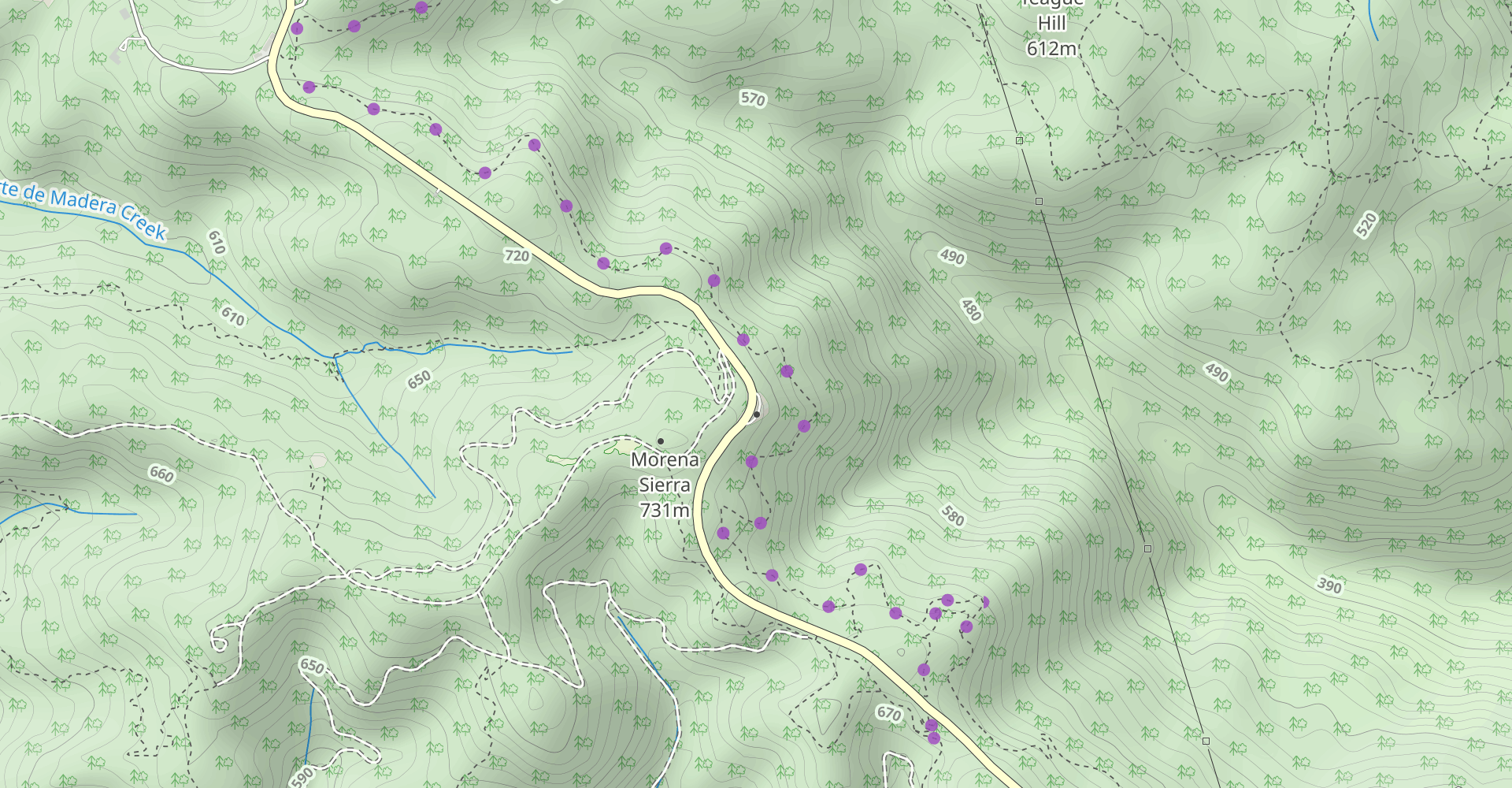 Fir Trail to Methuselah Trail to Sierra Morena Trail Loop