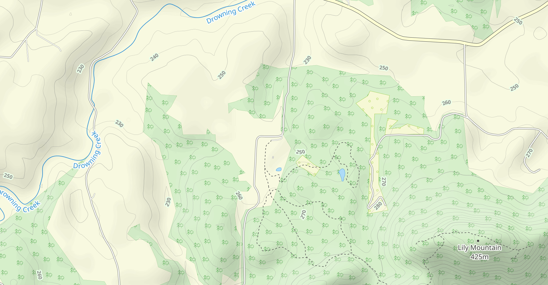 Lily Mountain Trail