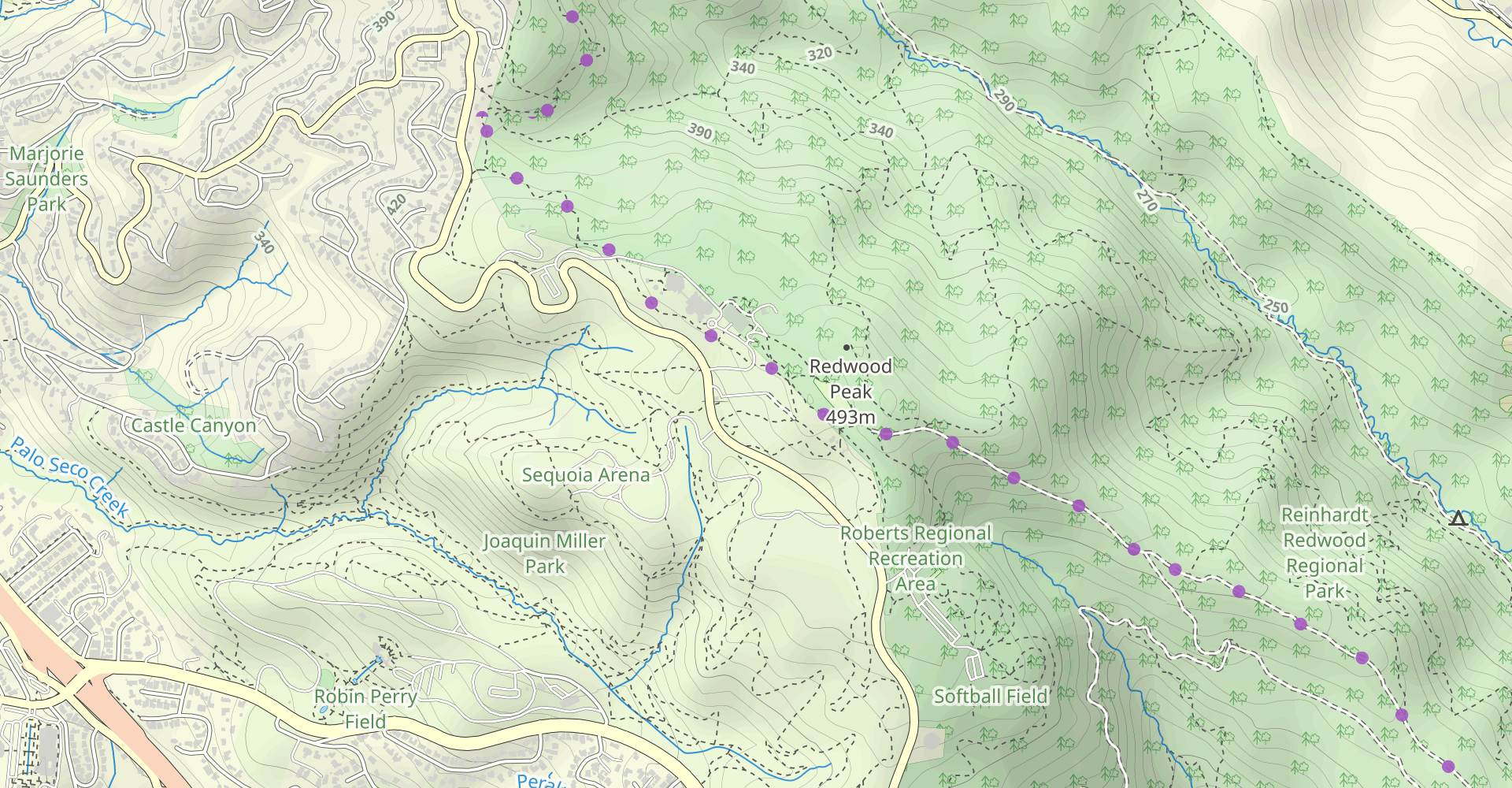 Redwood Peak Trail