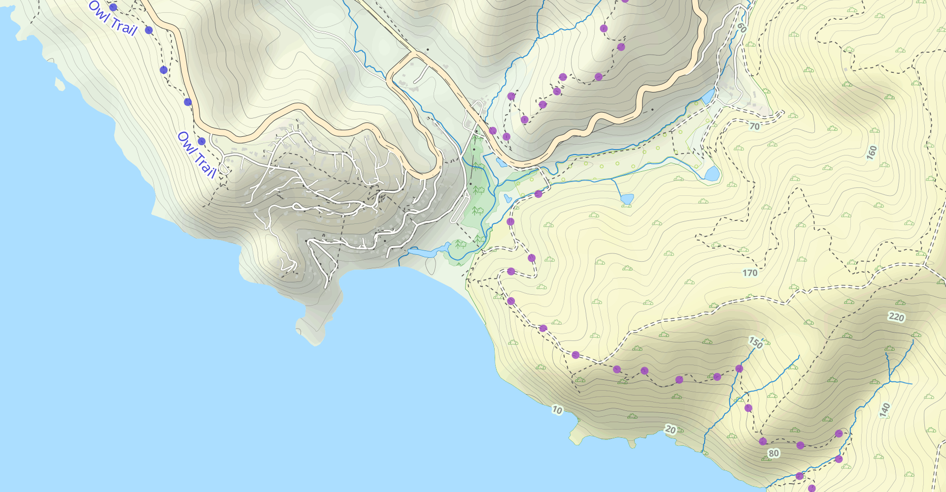 Coastal Trail and Coastal Fire Road Loop