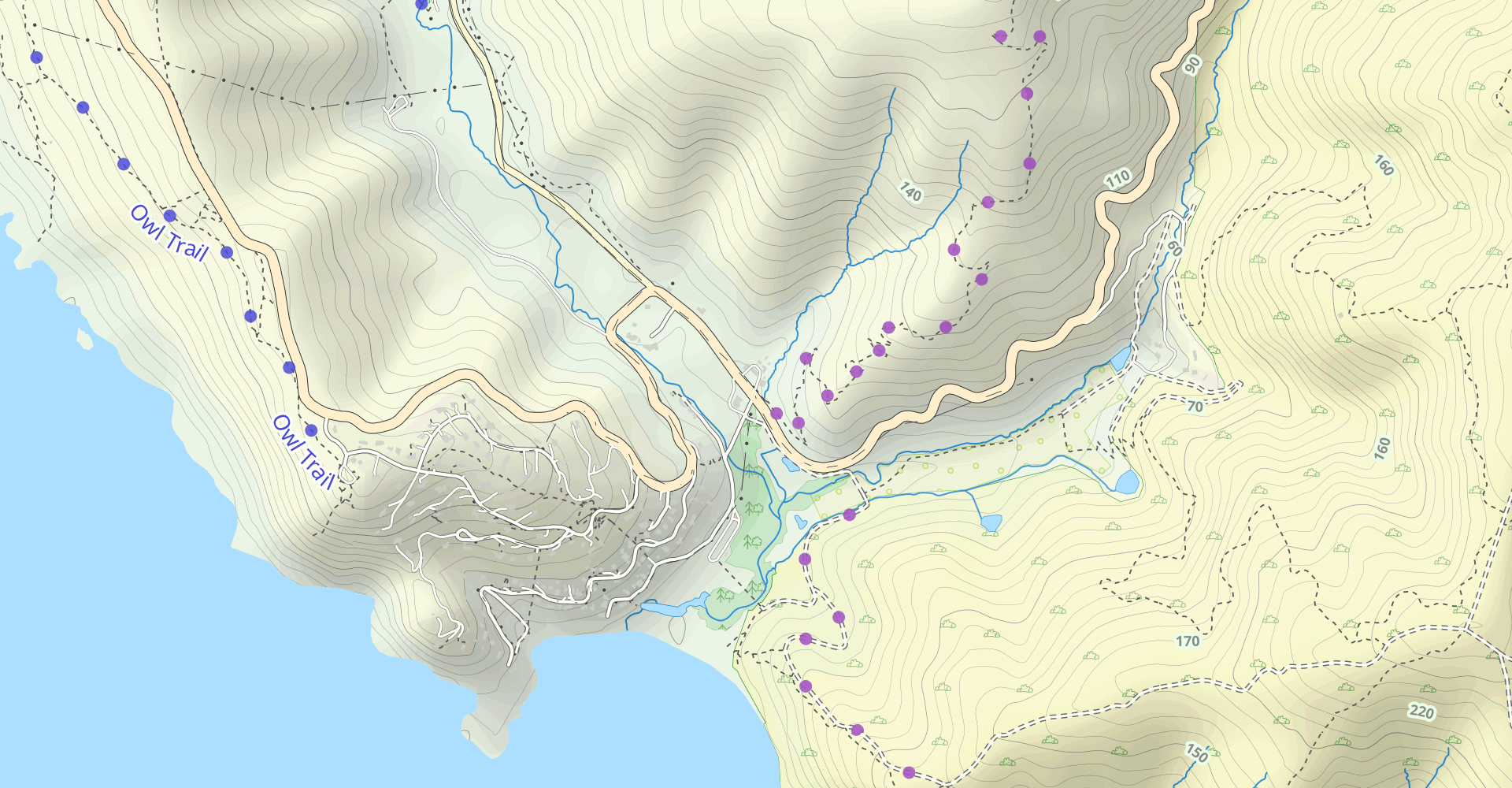 Dias Ridge and Redwood Creek Trail Loop