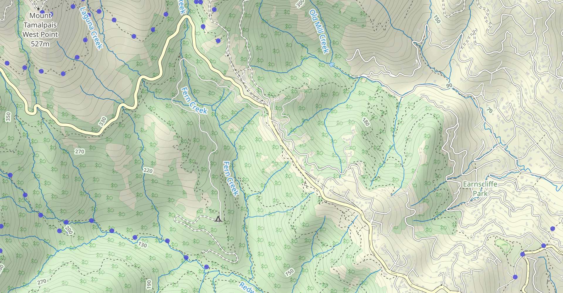 Canopy, Dipsea and Sun Trail Loop