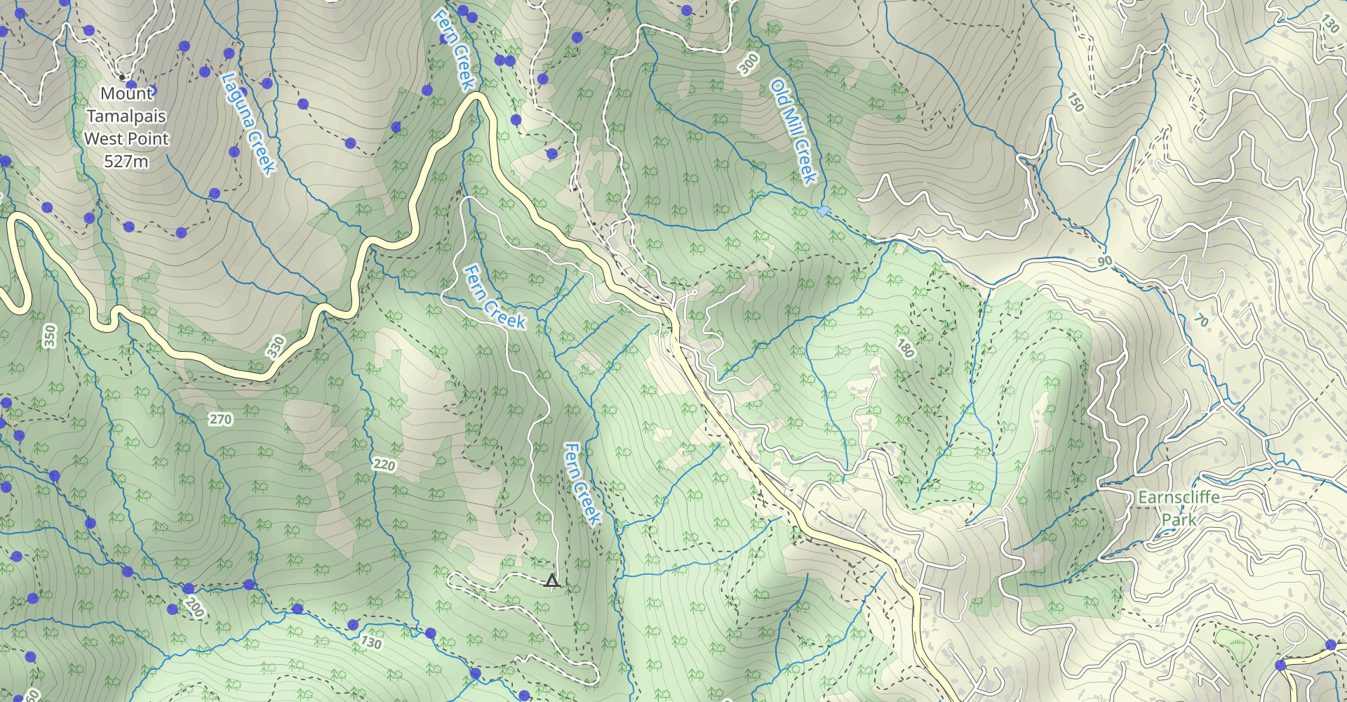 Canopy View, Lost Trail, Fern Creek Loop Trail