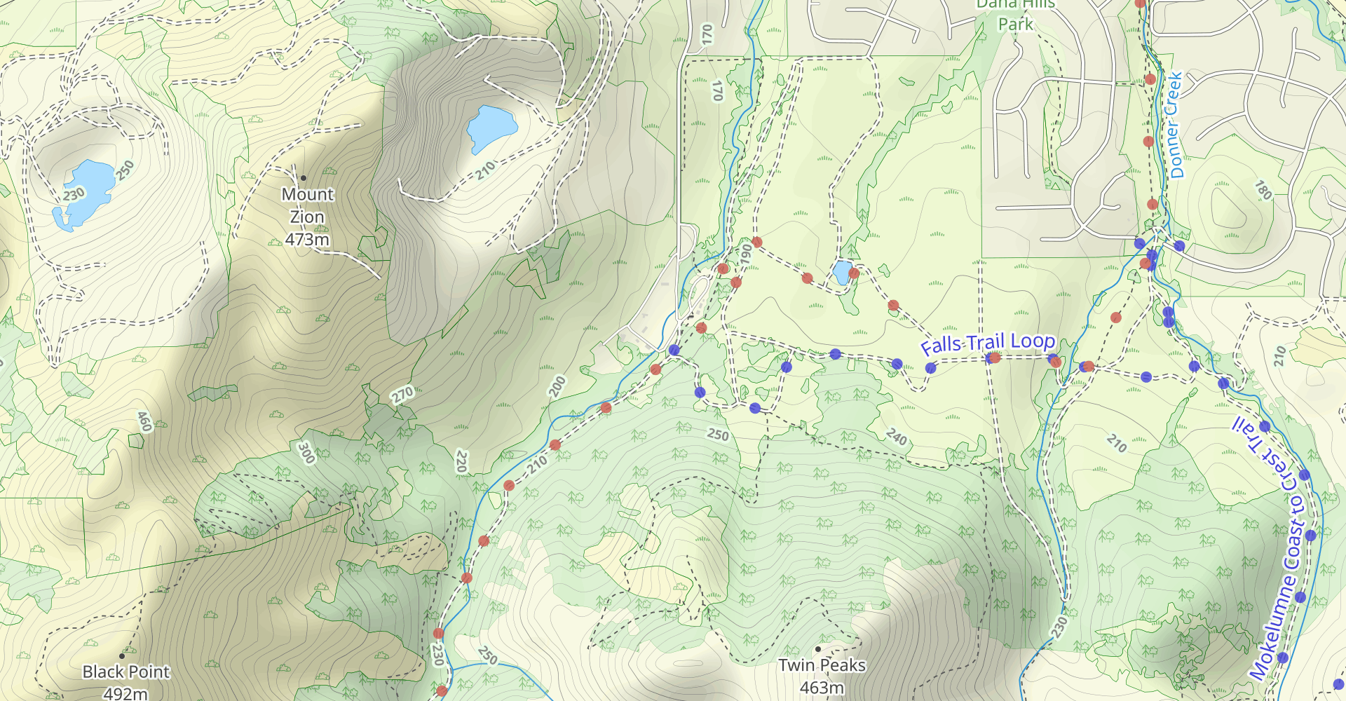 Mitchell Rock Trail to Counter Pines Trail