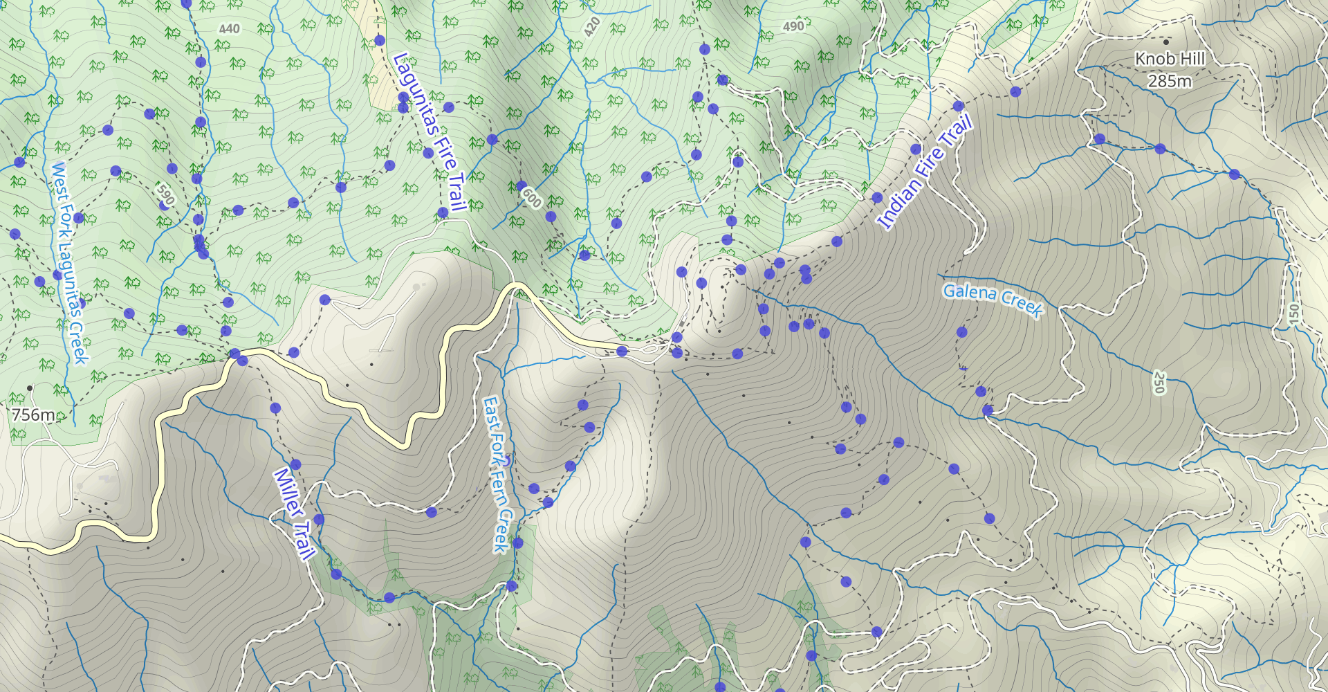 Mount Tamalpais: Middle Peak Loop