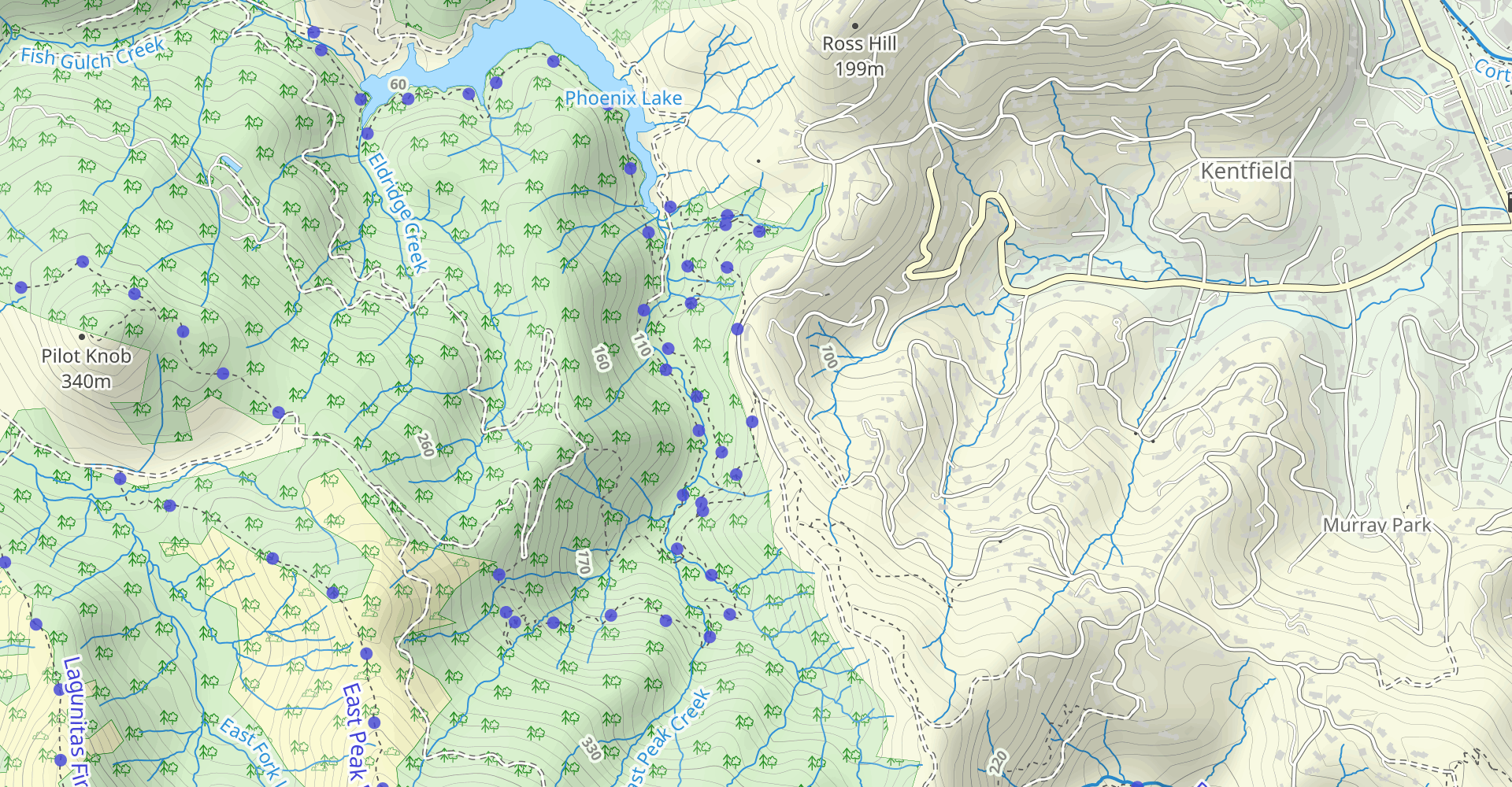 Lake Lagunitas, Bon Tempe and Alpine Lakes, Cataract Falls to Mount Tam Loop