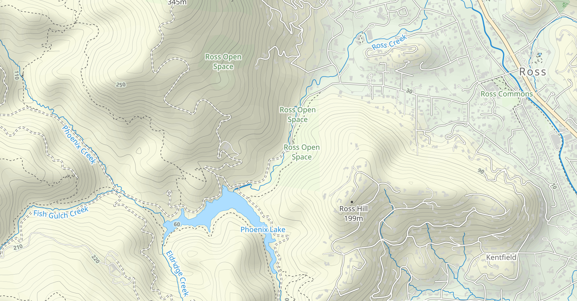 Lagunitas, Madrone, and Shaver Grade Trail Loop
