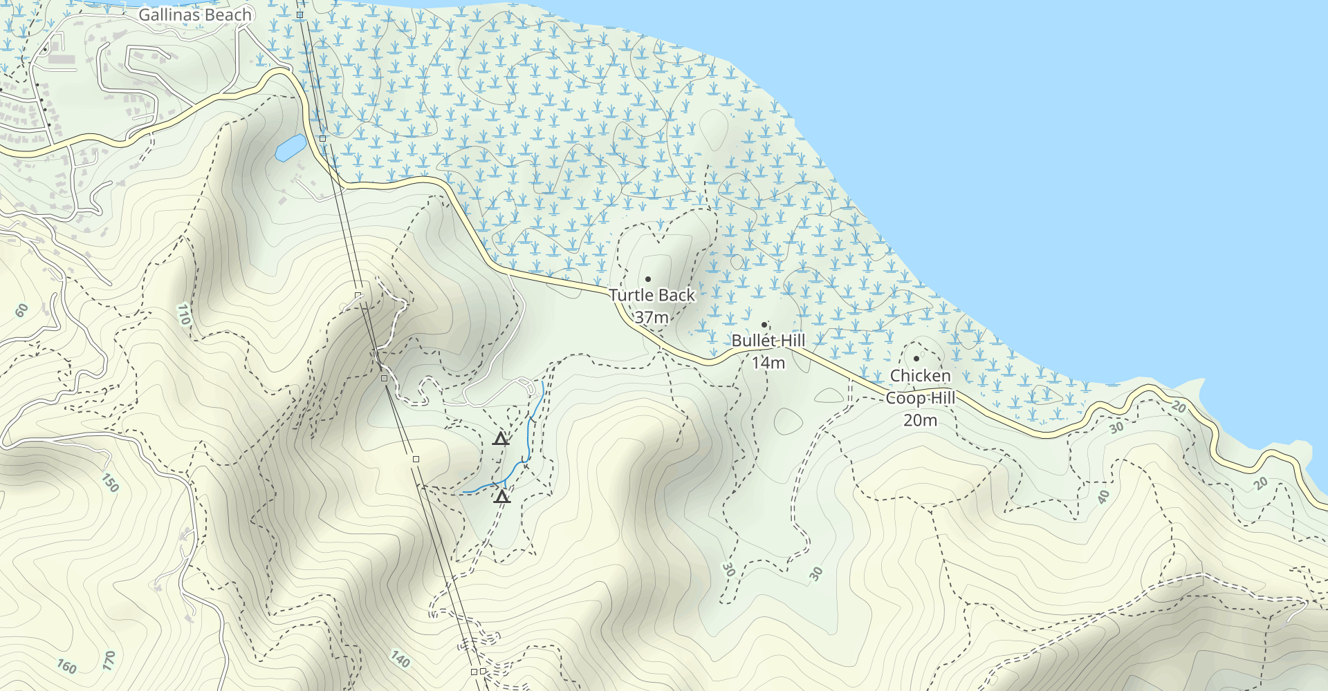 Turtleback Point Loop
