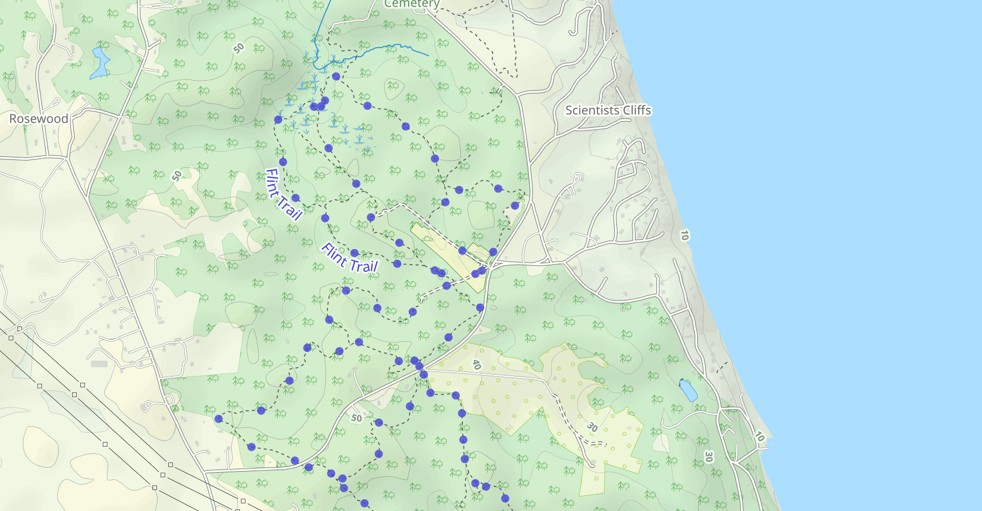 Swamp Trail to North-South Trail to Parkers Creek Loop