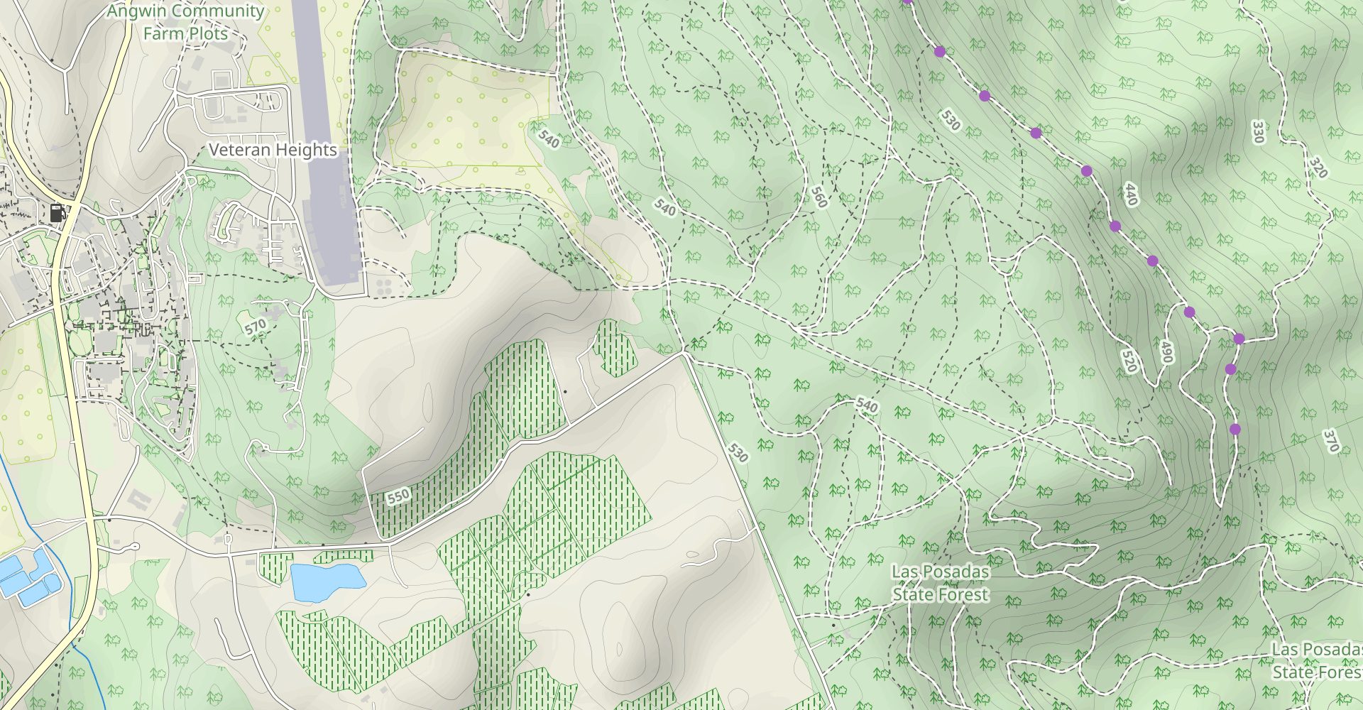 Las Posadas Fire Road, Serpentine Road, Cemetery Road and Camp Road Loop