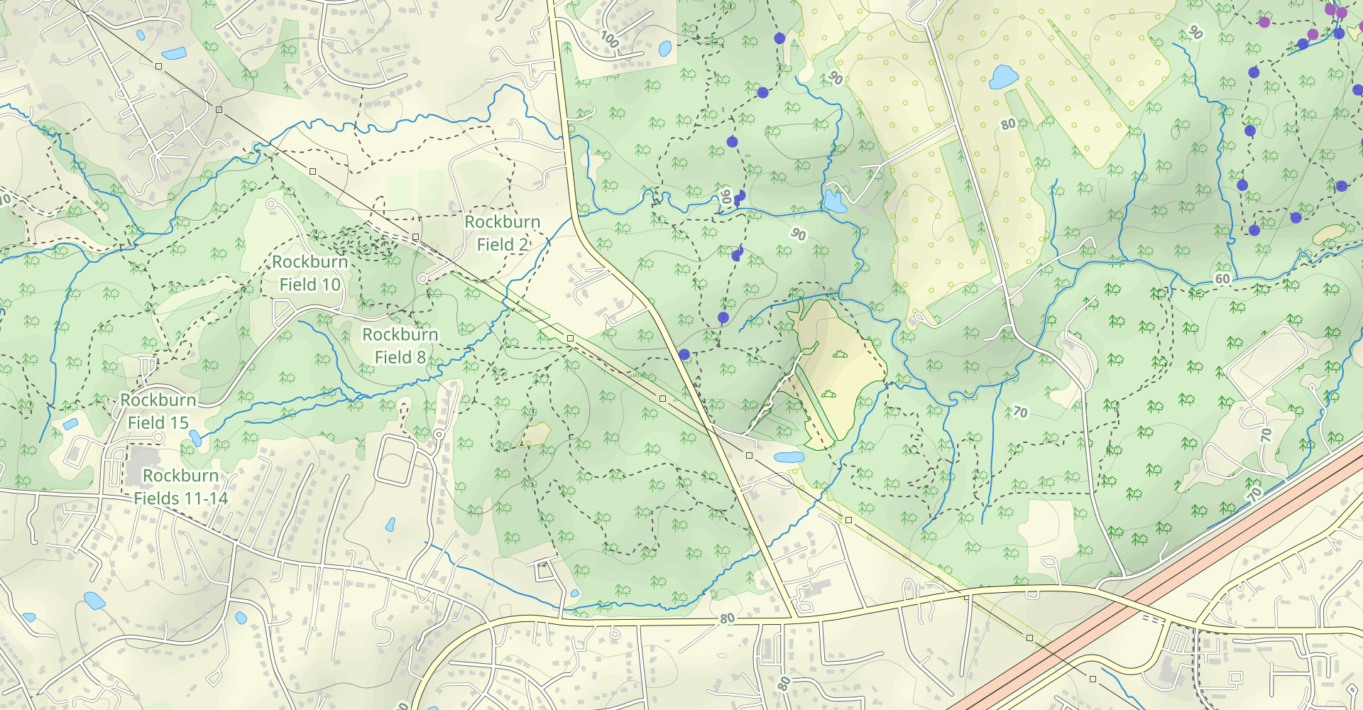 Morning Choice, Ridge Trail and Old Connector Loop
