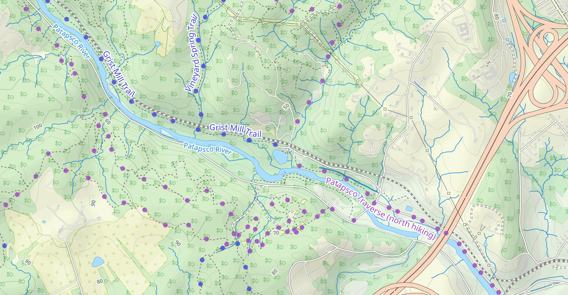 Vineyard Springs and Inner Soapstone Loop