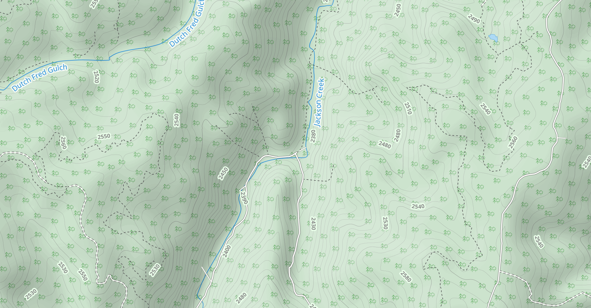 Forest Road 503