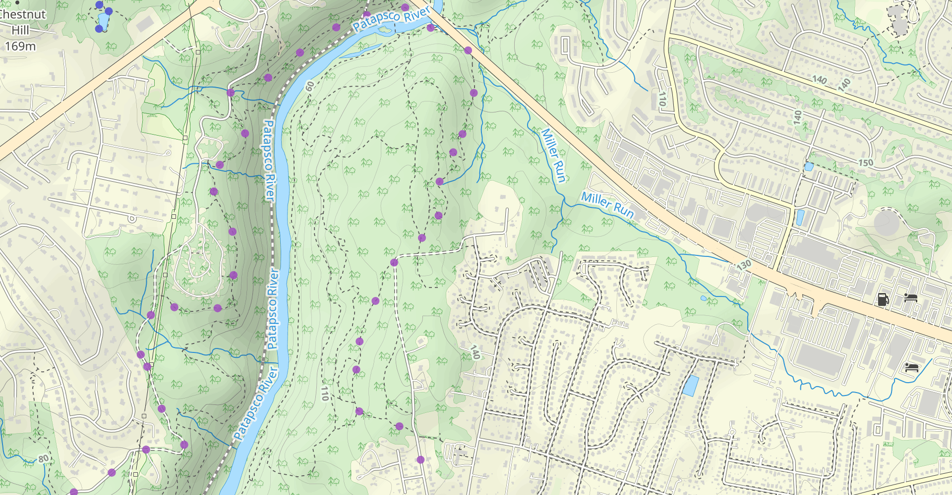 Patapsco-Thru Trail Loop