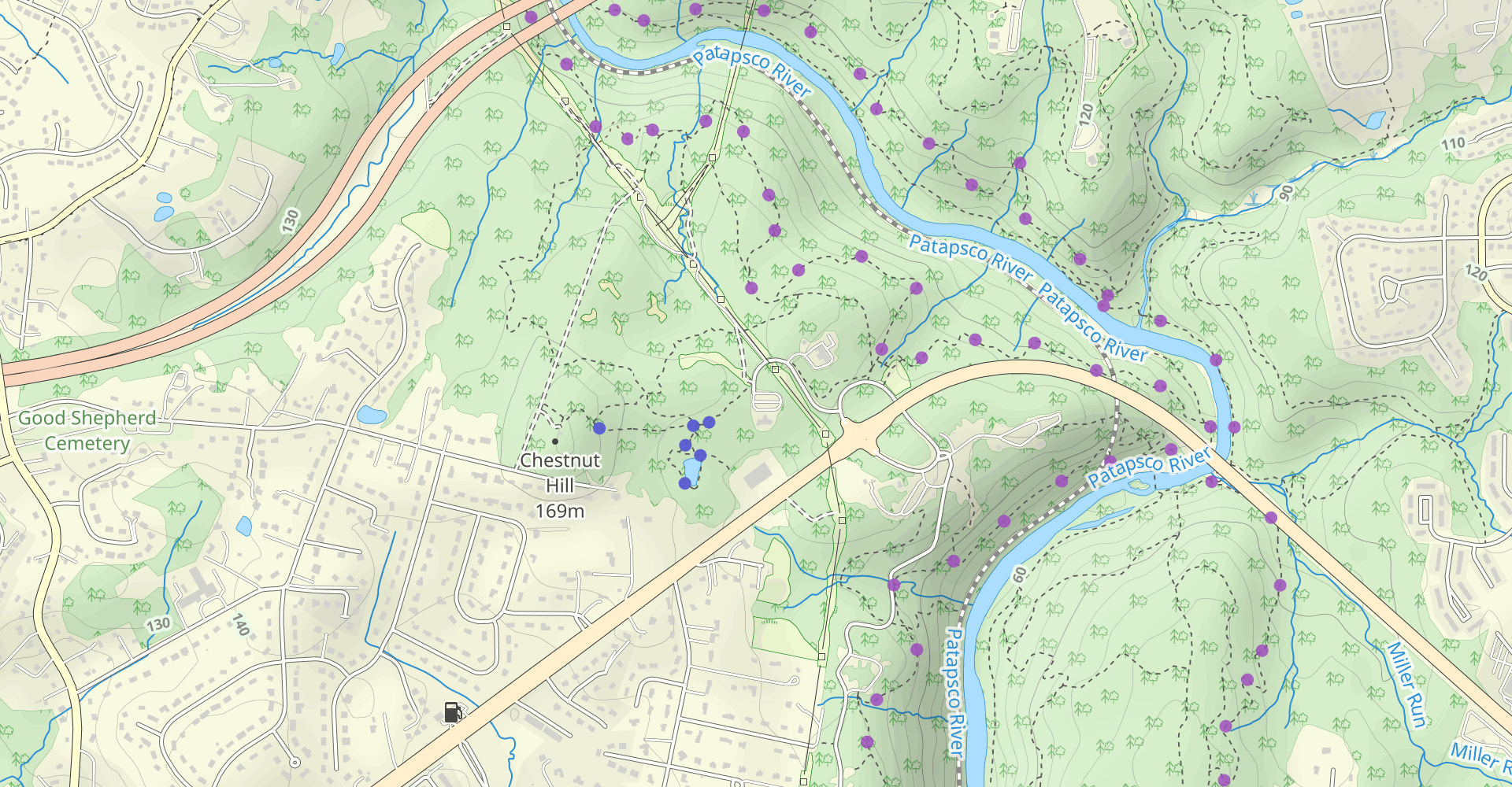 Ole Ranger Trail (Blue)