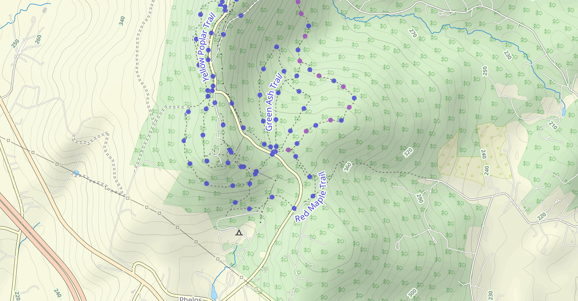 Catoctin Trail to Black Trail Loop