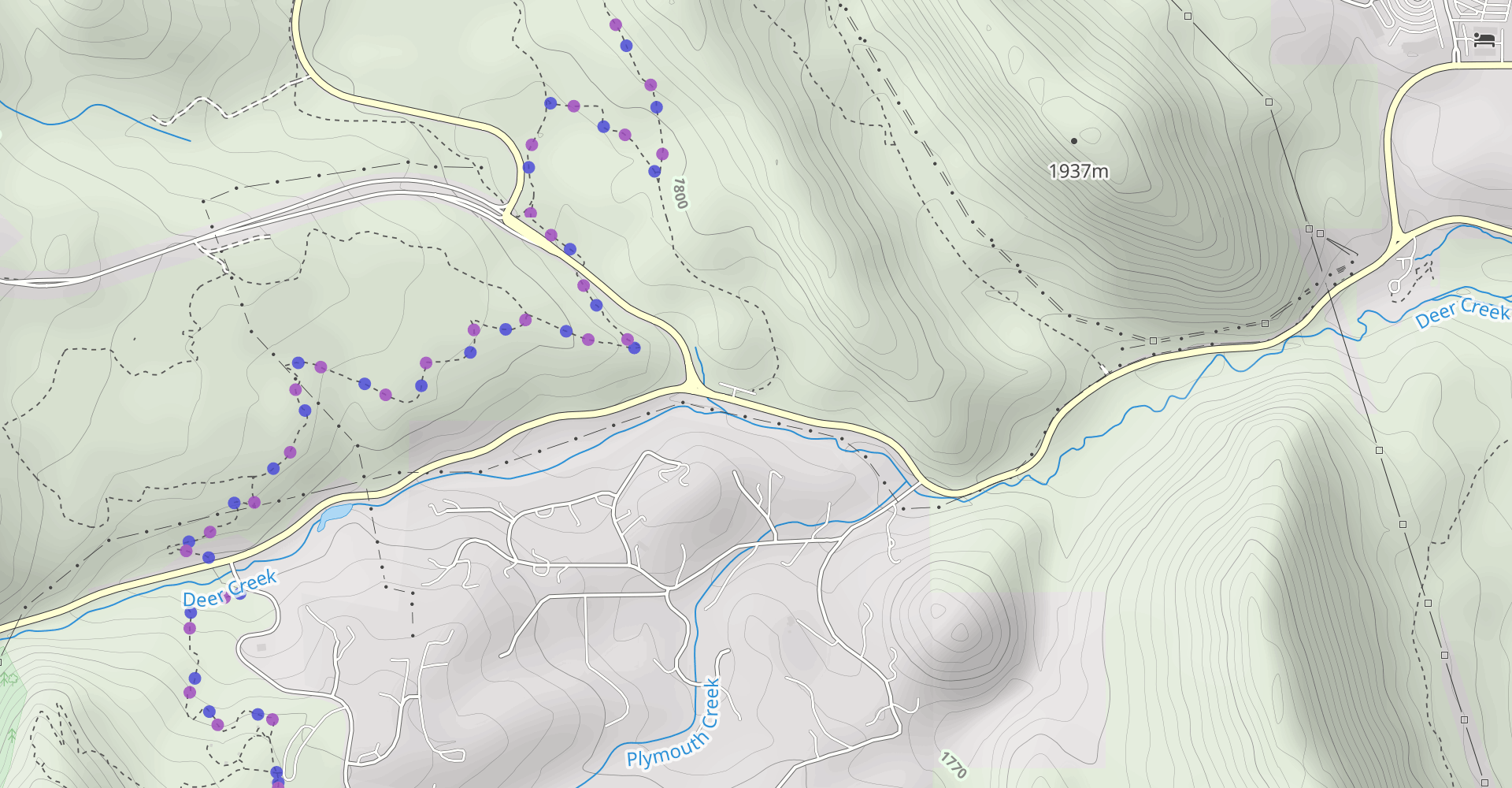 Coyote Song Trail