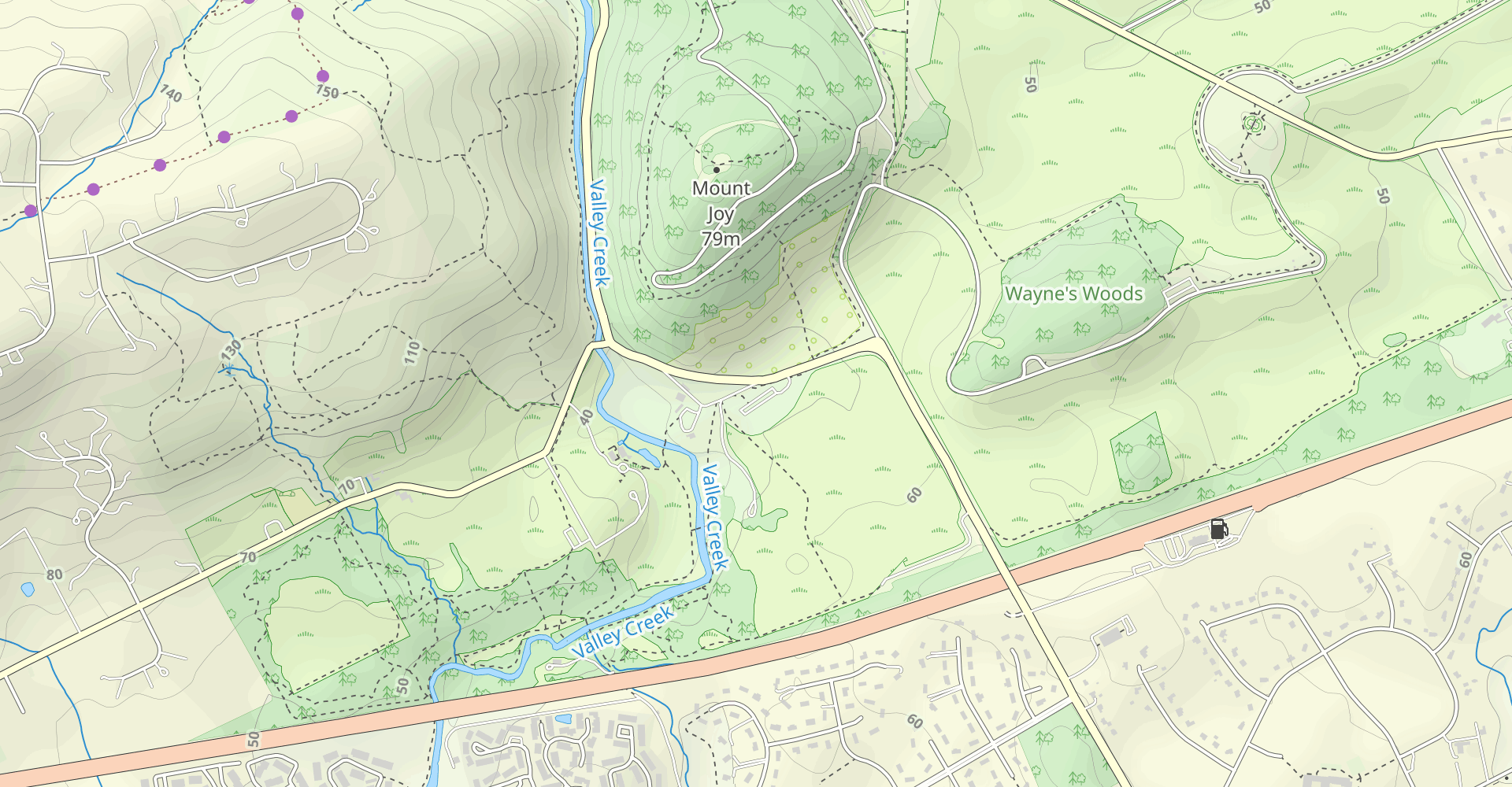 Mount Joy Trail to Mount Misery Trail Loop
