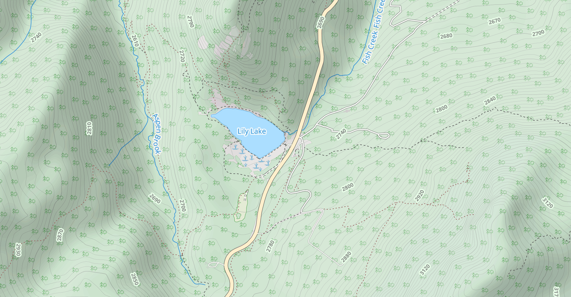 Lily Lake