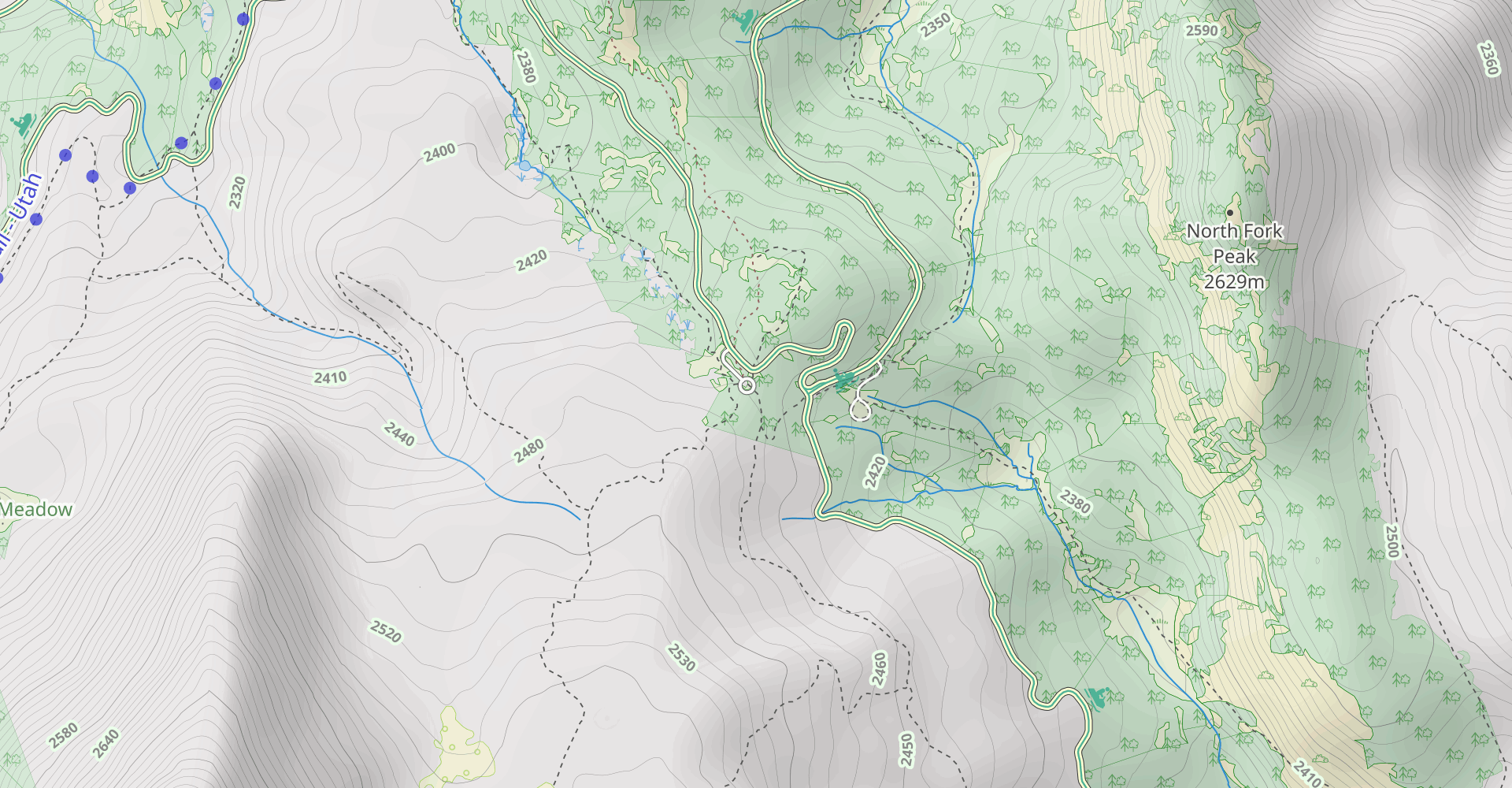 Horse Flat, Horse Spring and Lame Horse Trail Loop