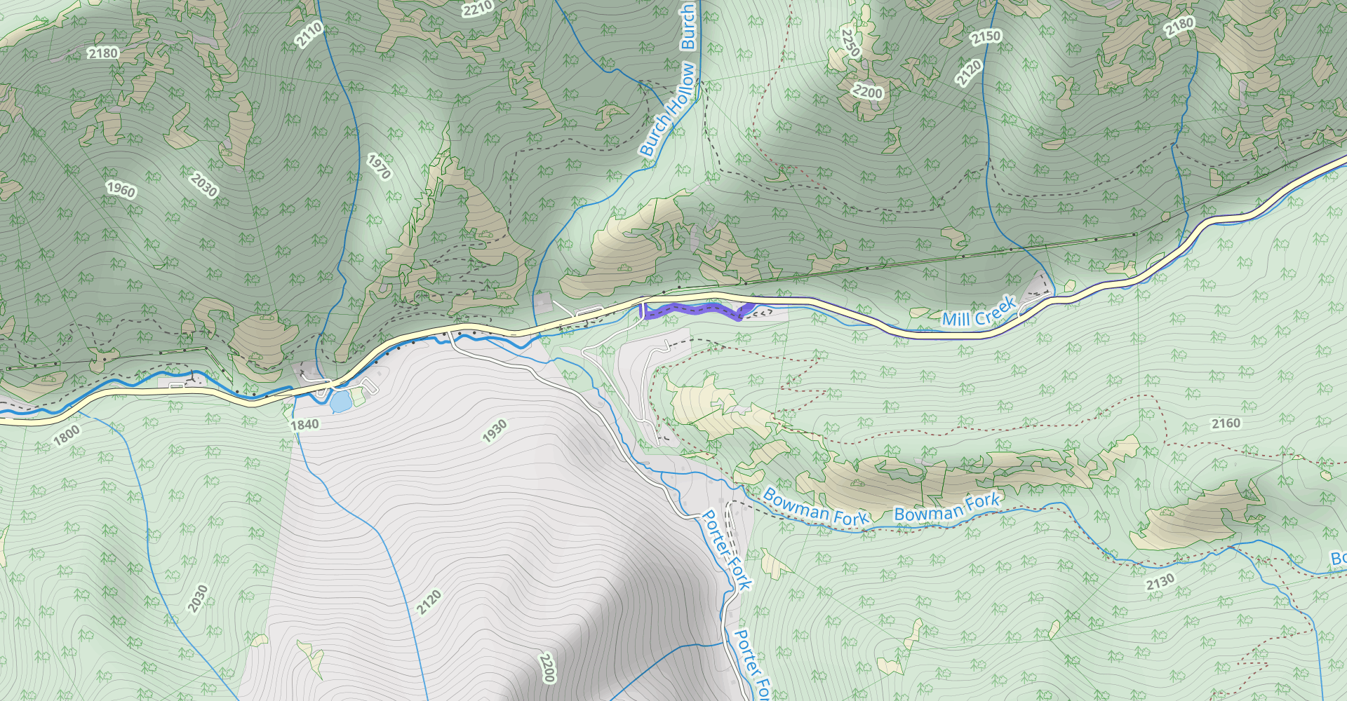 Bowman Fork to Gobblers Knob Trail