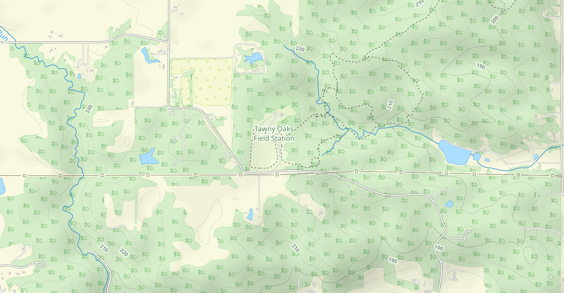 Timber Trail Loop