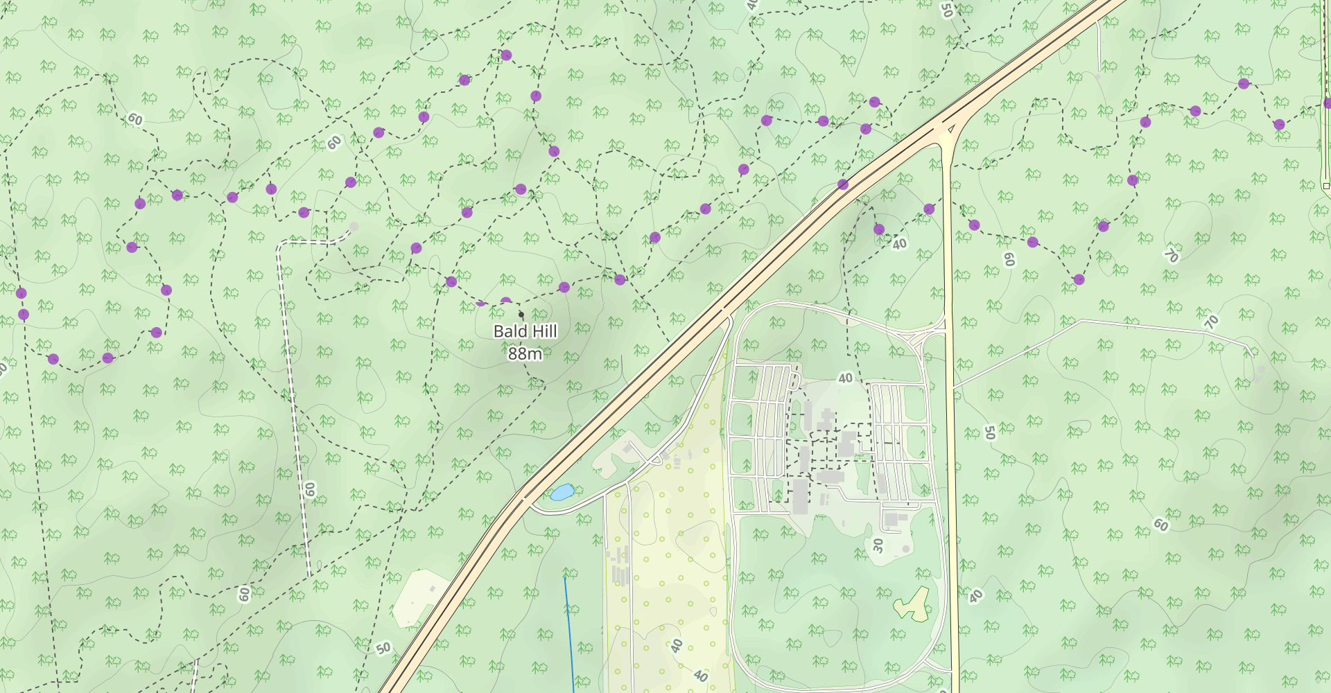 Bald Hill Loop (Short Option)