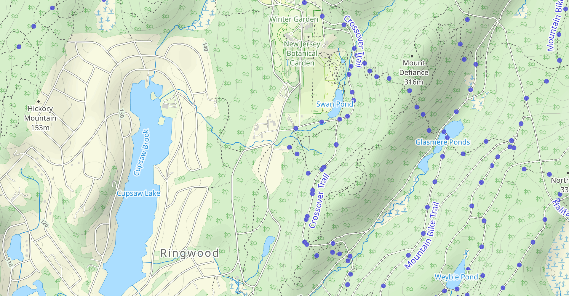 Ringwood State Park Loop