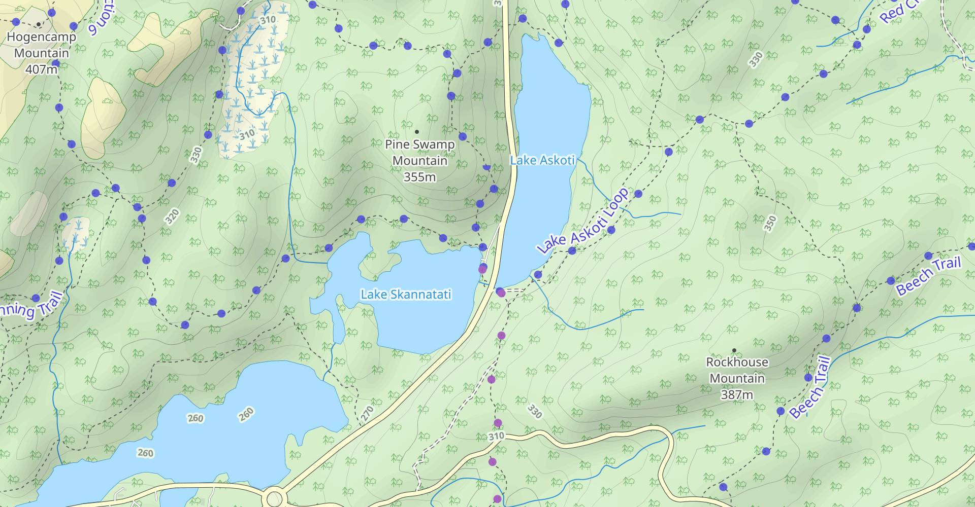 Pine Swamp Mountain and Hogencamp Mountain Loop