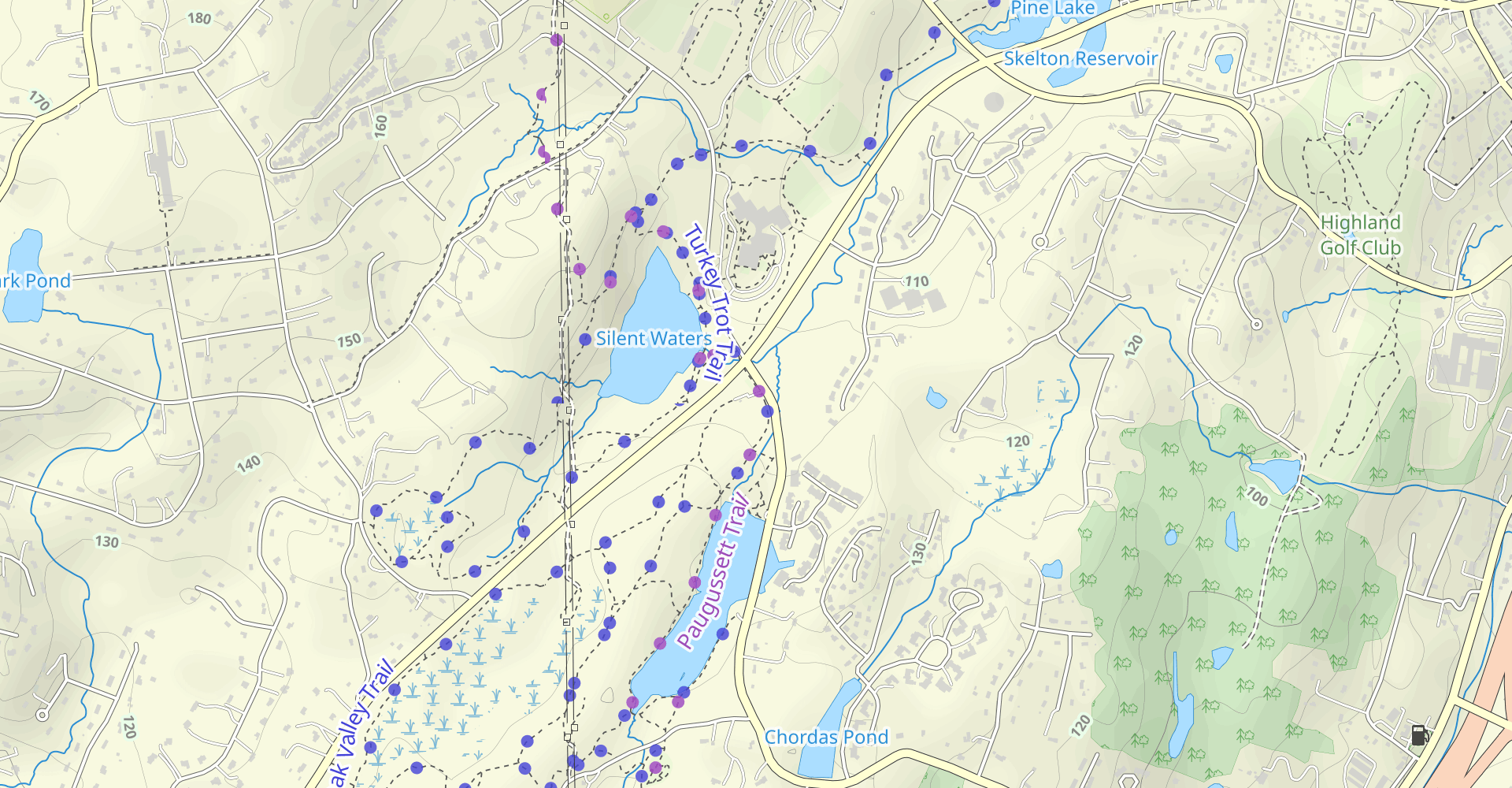 Hike Shelton Dog Park To Reservoir Loop