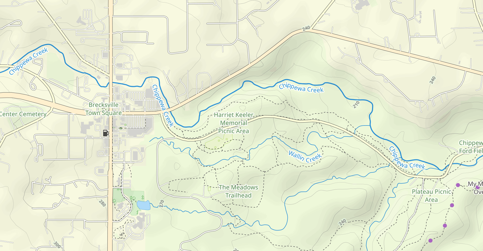Wildflower Loop Trail