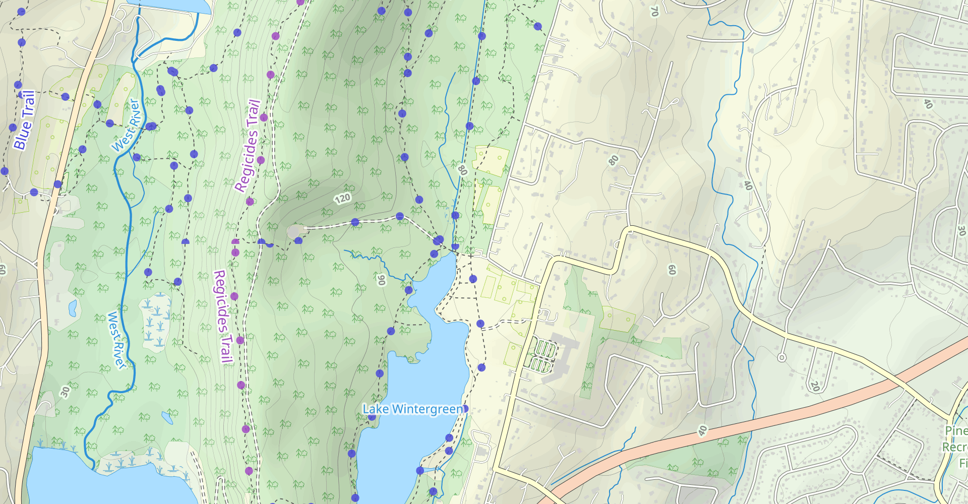 Hike Lake Wintergreen And Regicides Trail (Blue Blaze) Loop